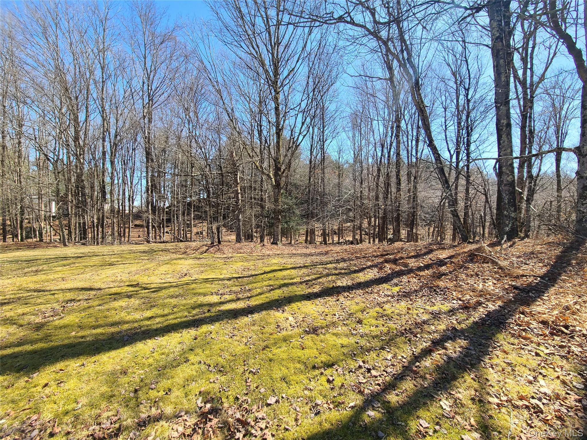 Single Family State Route 17b Sullivan County, NY 12762, MLS-845036-36