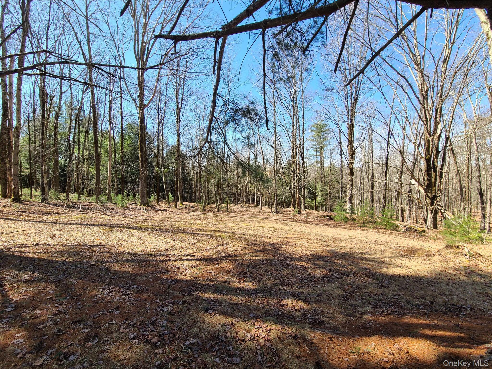 Single Family State Route 17b Sullivan County, NY 12762, MLS-845036-38