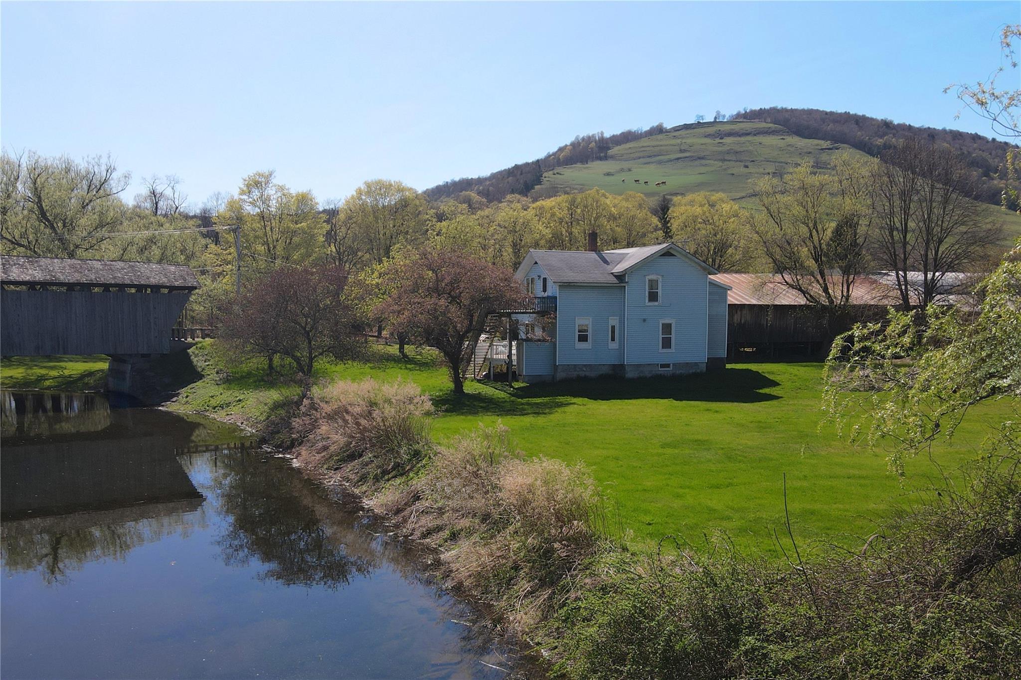 Single Family Bridge  Delaware County, NY 13755, MLS-845293-11