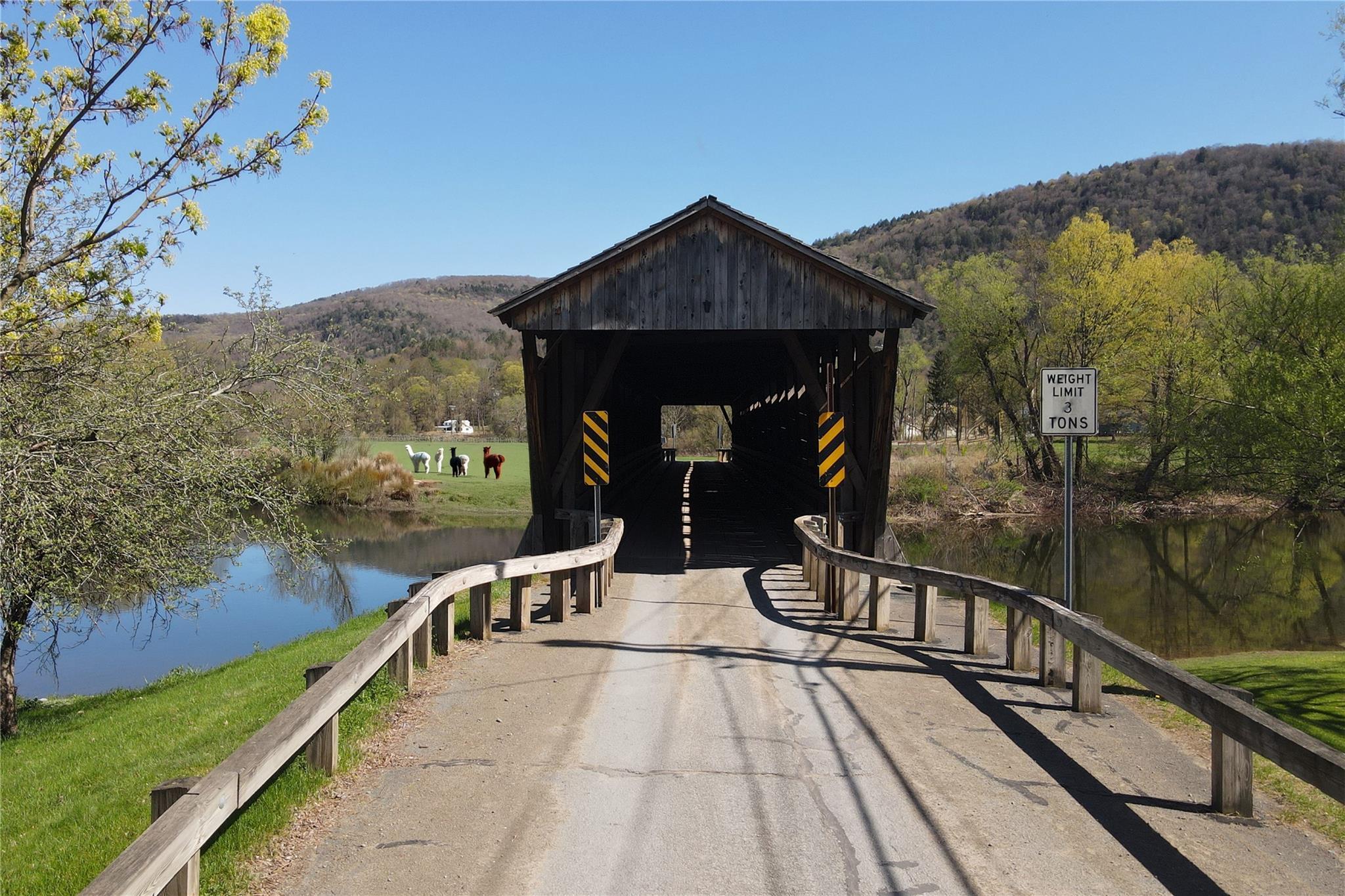 Single Family Bridge  Delaware County, NY 13755, MLS-845293-22