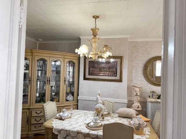 Single Family Cox  Brooklyn, NY 11208, MLS-845387-5