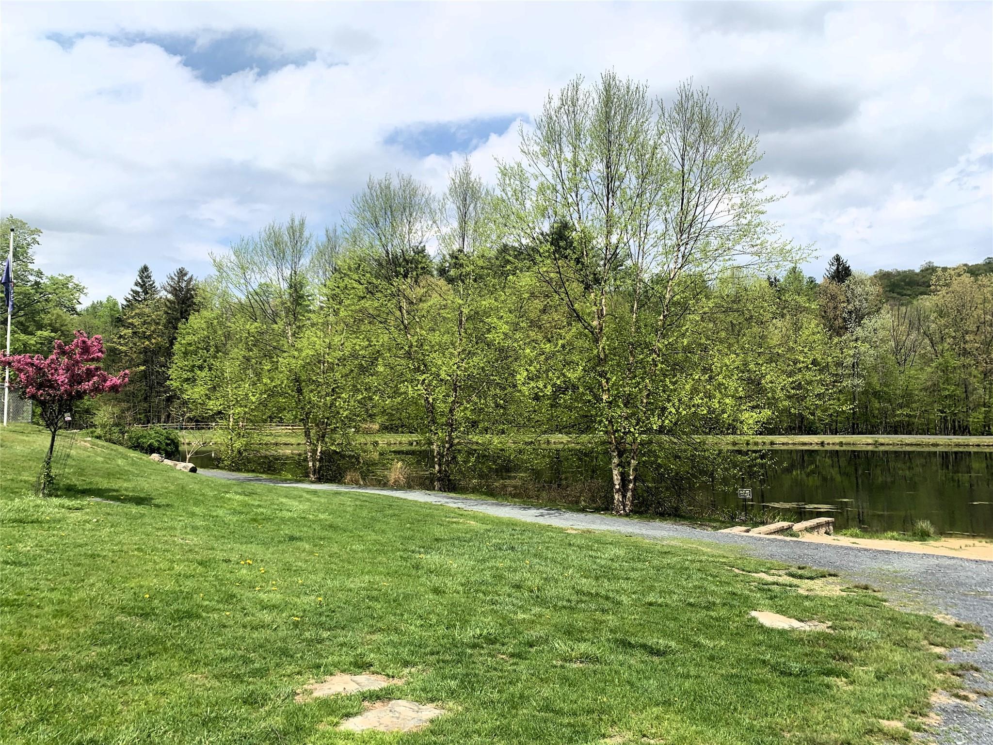 Single Family St. Ives  Out Of Area, NY 18324, MLS-845459-46