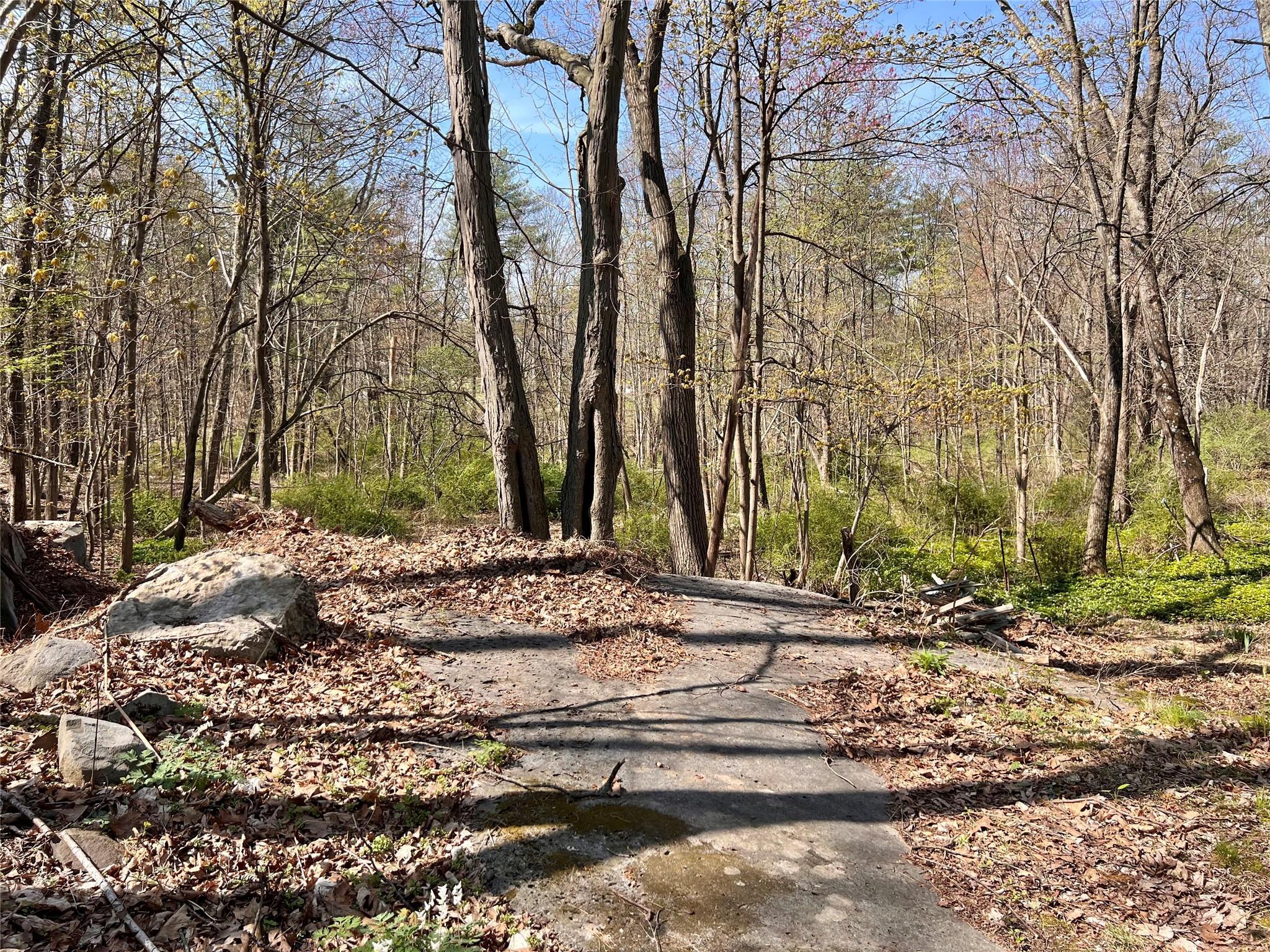 Single Family Maple  Ulster County, NY 12471, MLS-846080-28