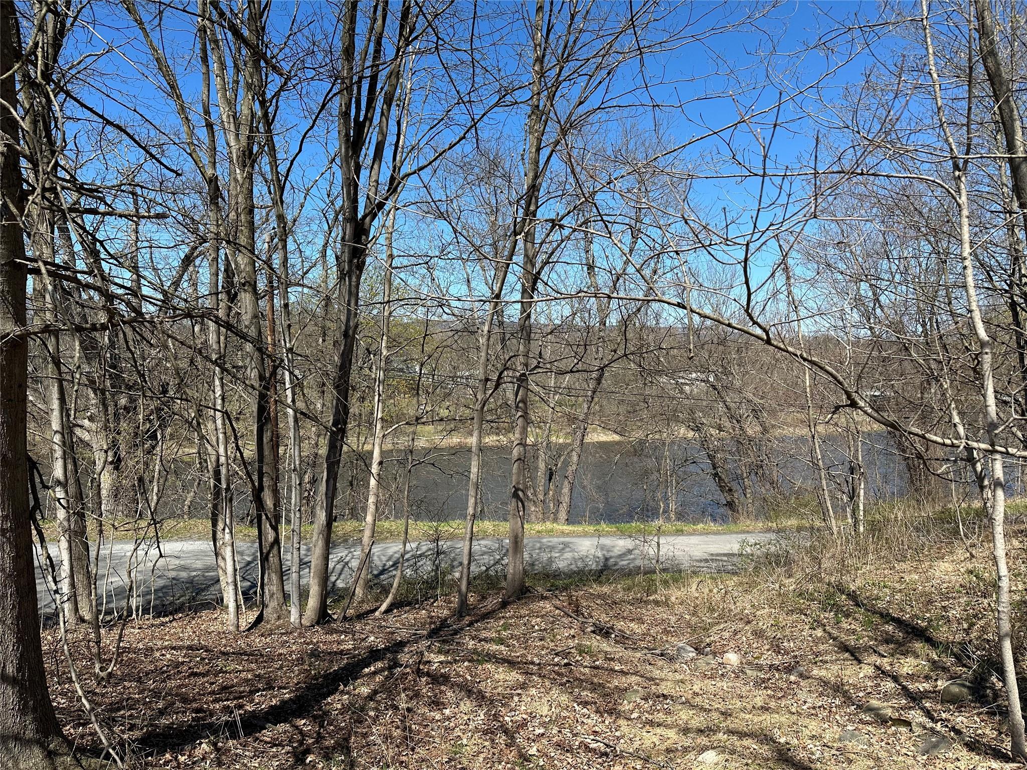 Single Family Hoffman  Ulster County, NY 12589, MLS-846081-31