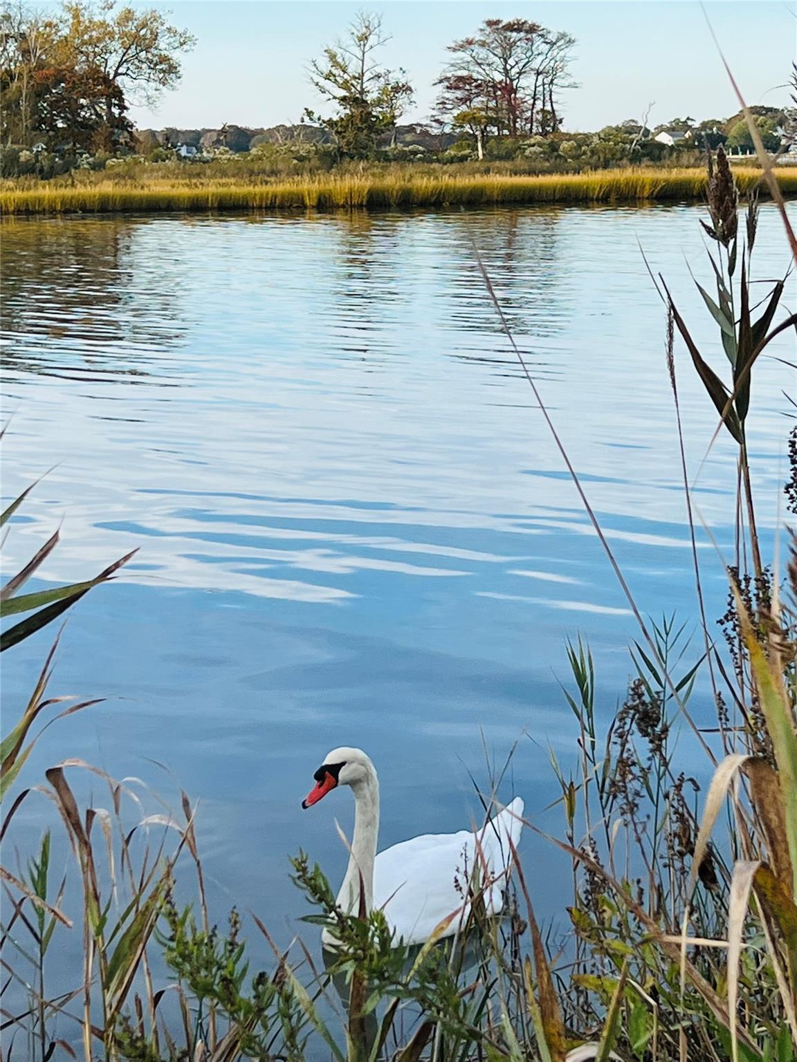 Single Family Wavecrest Suffolk County, NY 11951, MLS-846173-24