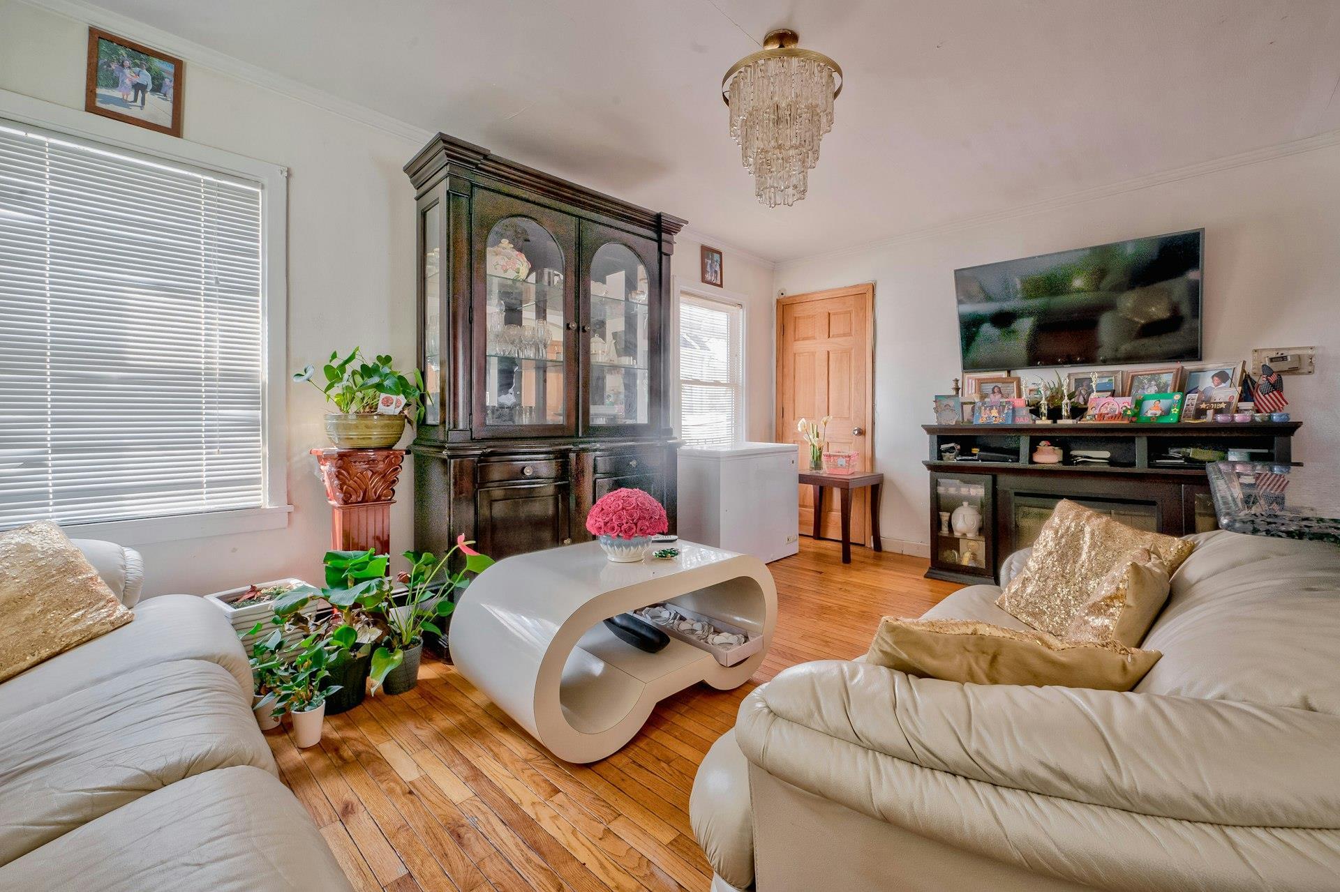 Single Family Virginia  Nassau County, NY 11003, MLS-846537-10