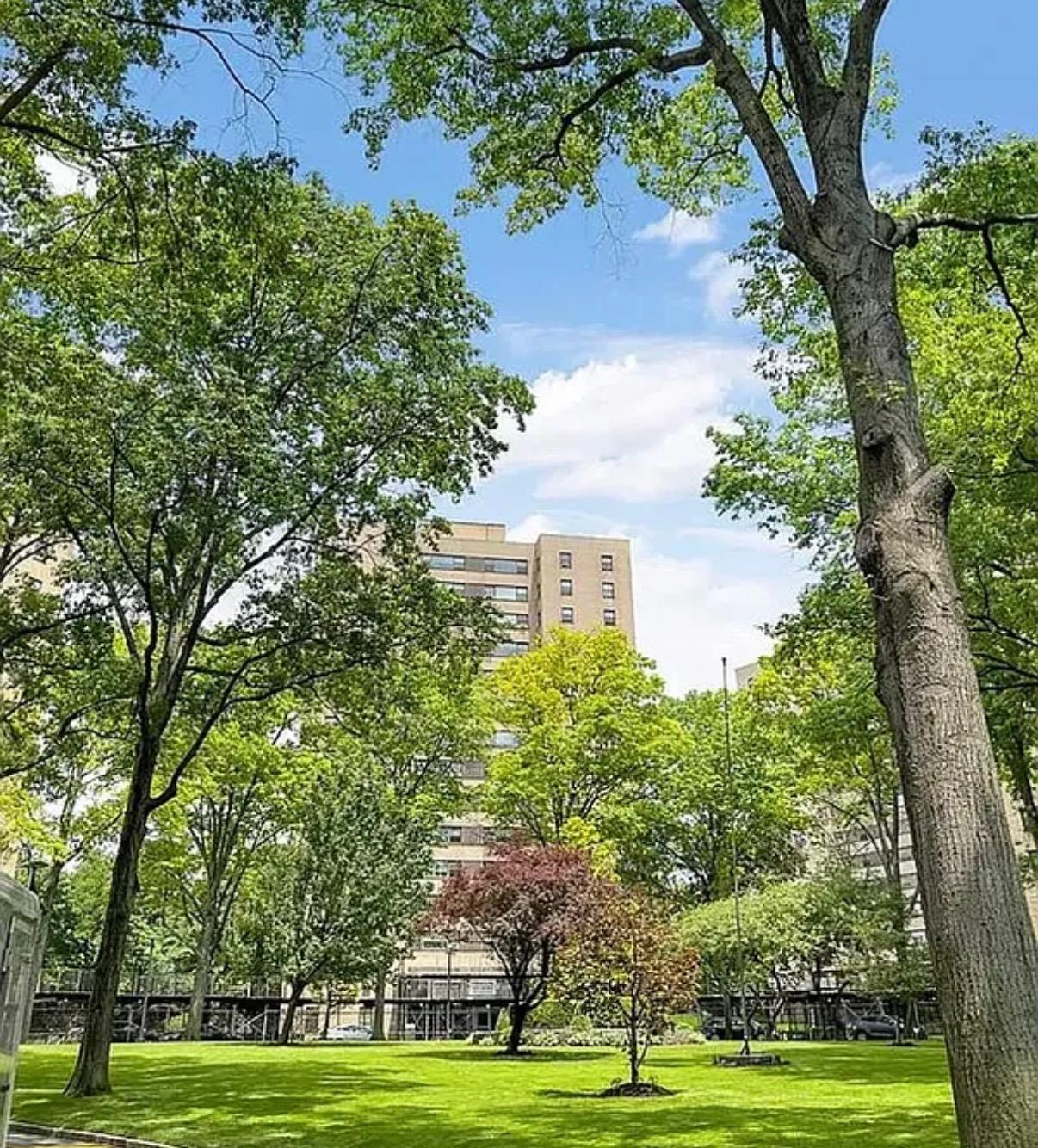 Coop Fordham Hill  Bronx, NY 10468, MLS-846773-14
