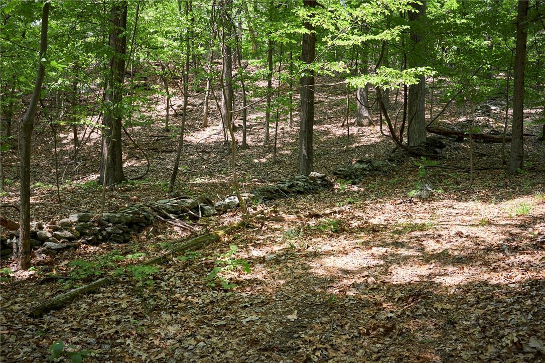 Single Family Spring Lake  Dutchess County, NY 12571, MLS-846869-11