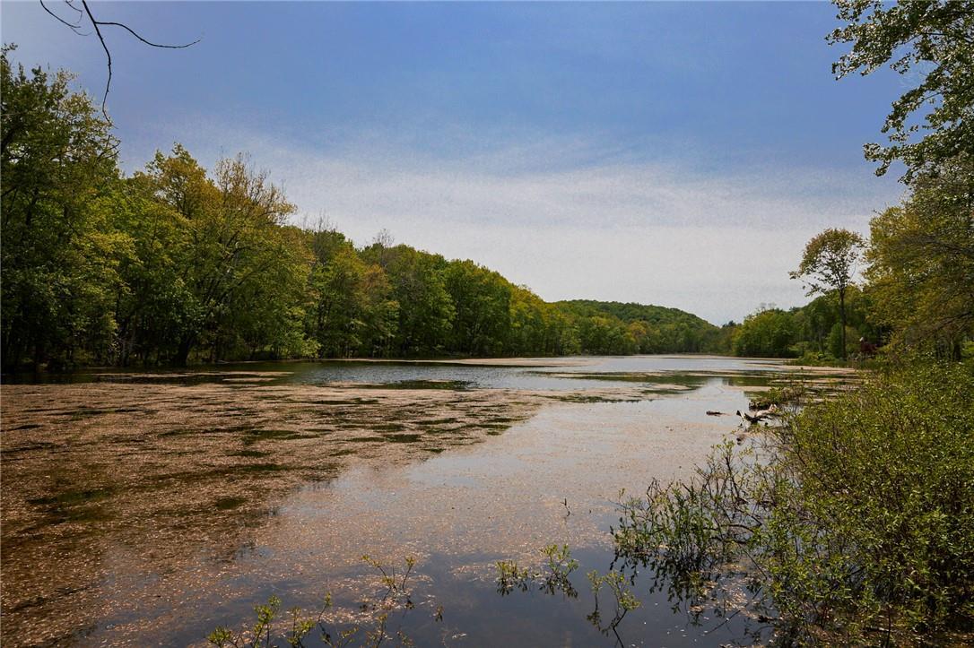 Single Family Spring Lake  Dutchess County, NY 12571, MLS-846869-23