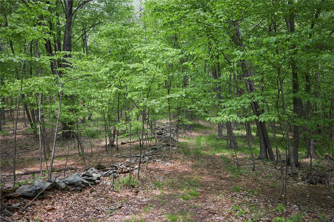 Single Family Spring Lake  Dutchess County, NY 12571, MLS-846869-3