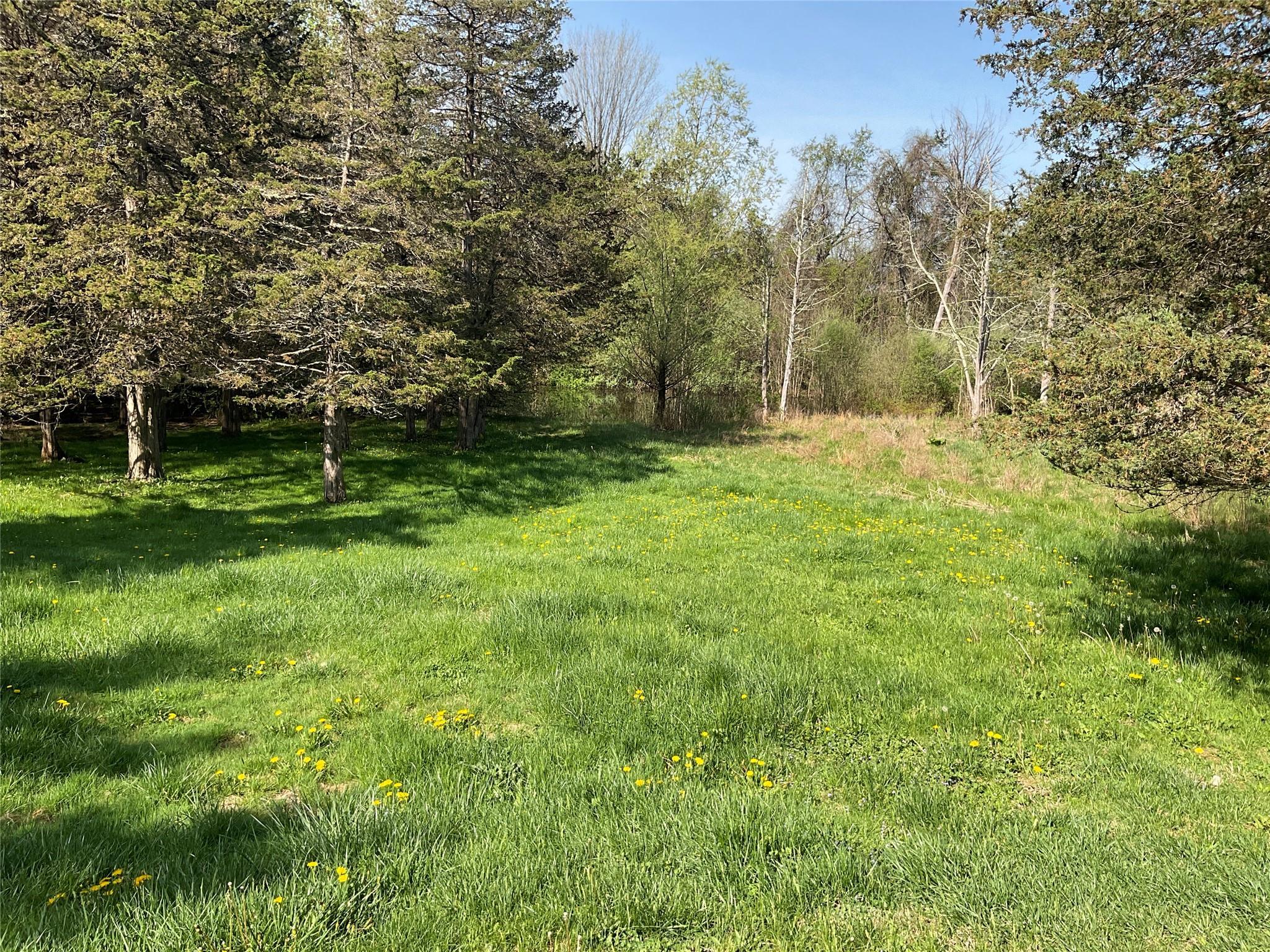 Single Family Bronson  Dutchess County, NY 12570, MLS-846982-19