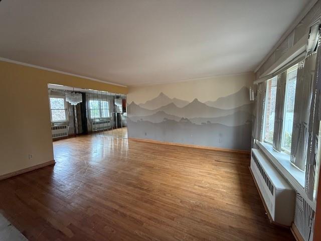 Single Family Park  Nassau County, NY 11762, MLS-847217-17