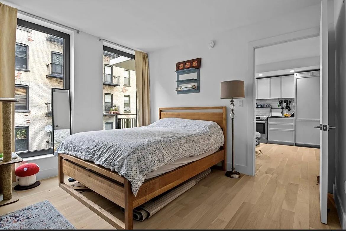 Condo Montgomery  Brooklyn, NY 11225, MLS-847227-9