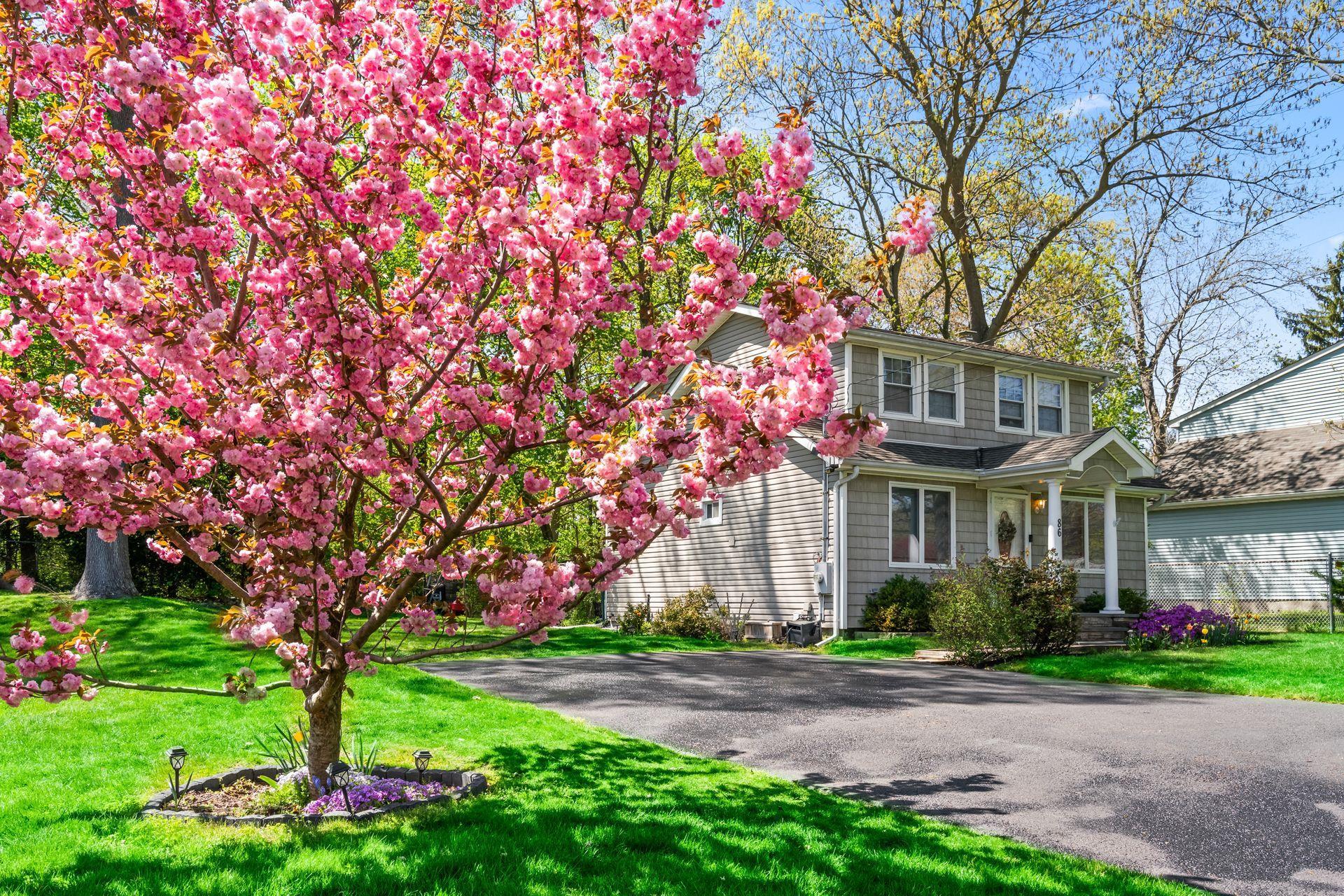 Single Family Road  Suffolk County, NY 11779, MLS-847555-3