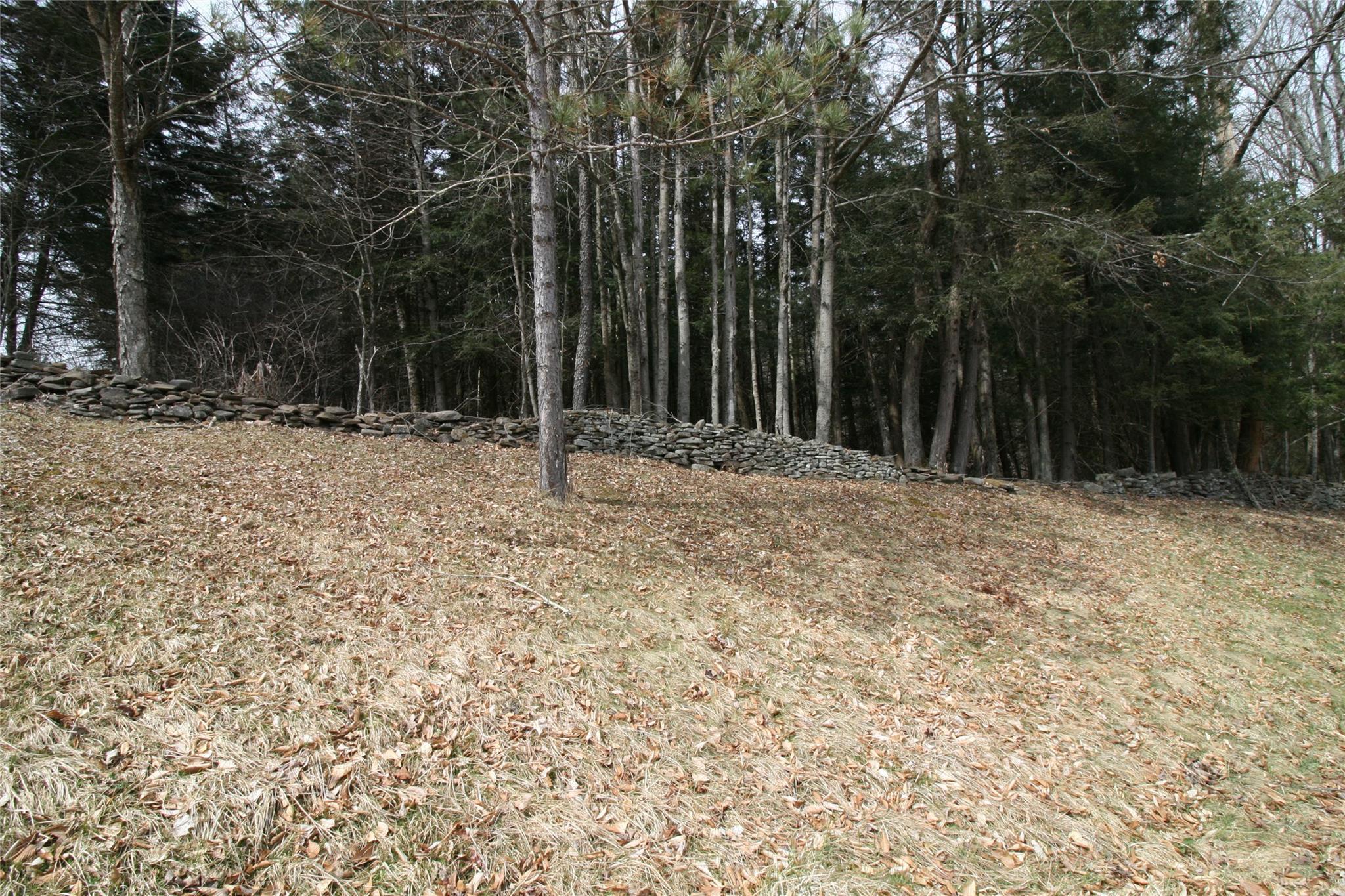 Single Family Hemmer  Sullivan County, NY 12758, MLS-847572-13