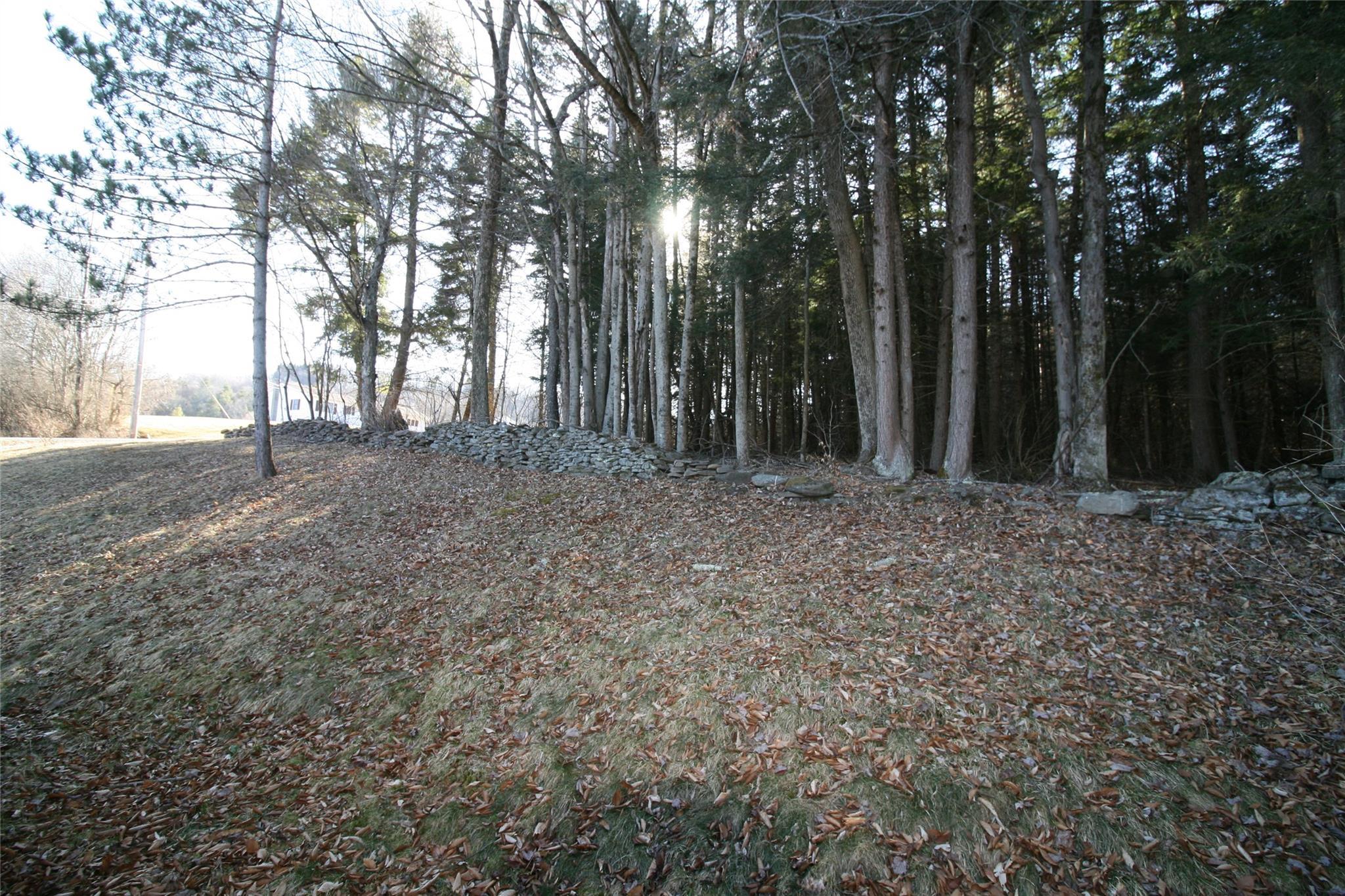 Single Family Hemmer  Sullivan County, NY 12758, MLS-847572-14