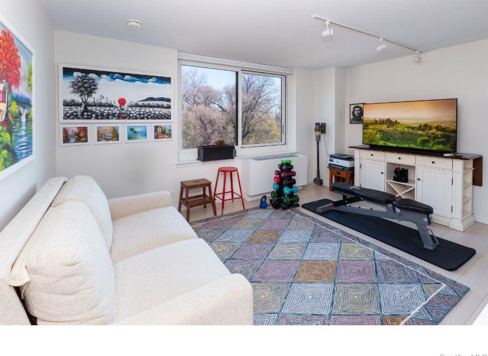 Condo Palisade  Bronx, NY 10463, MLS-847576-11