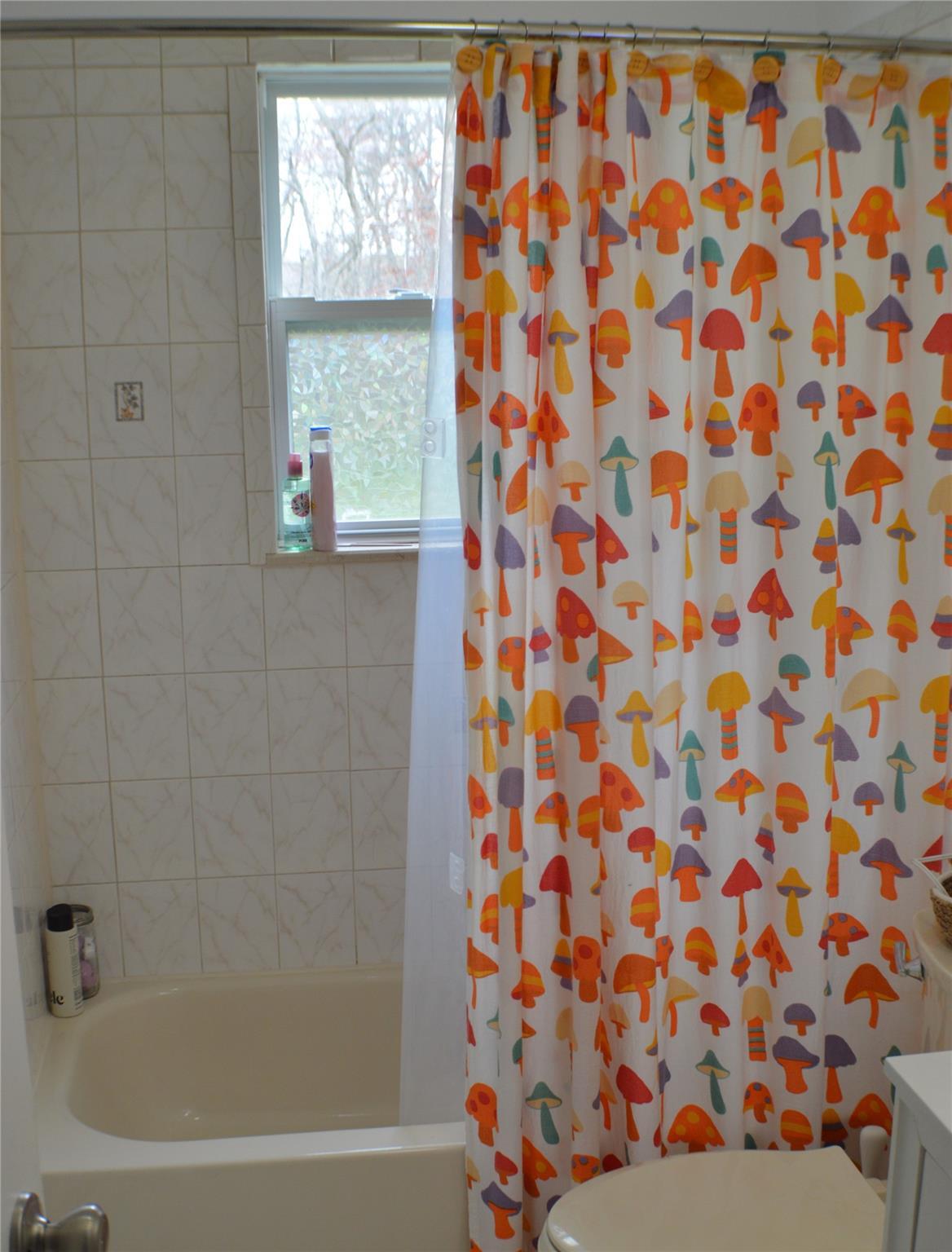 Single Family Brookdale  Suffolk County, NY 11706, MLS-847621-17