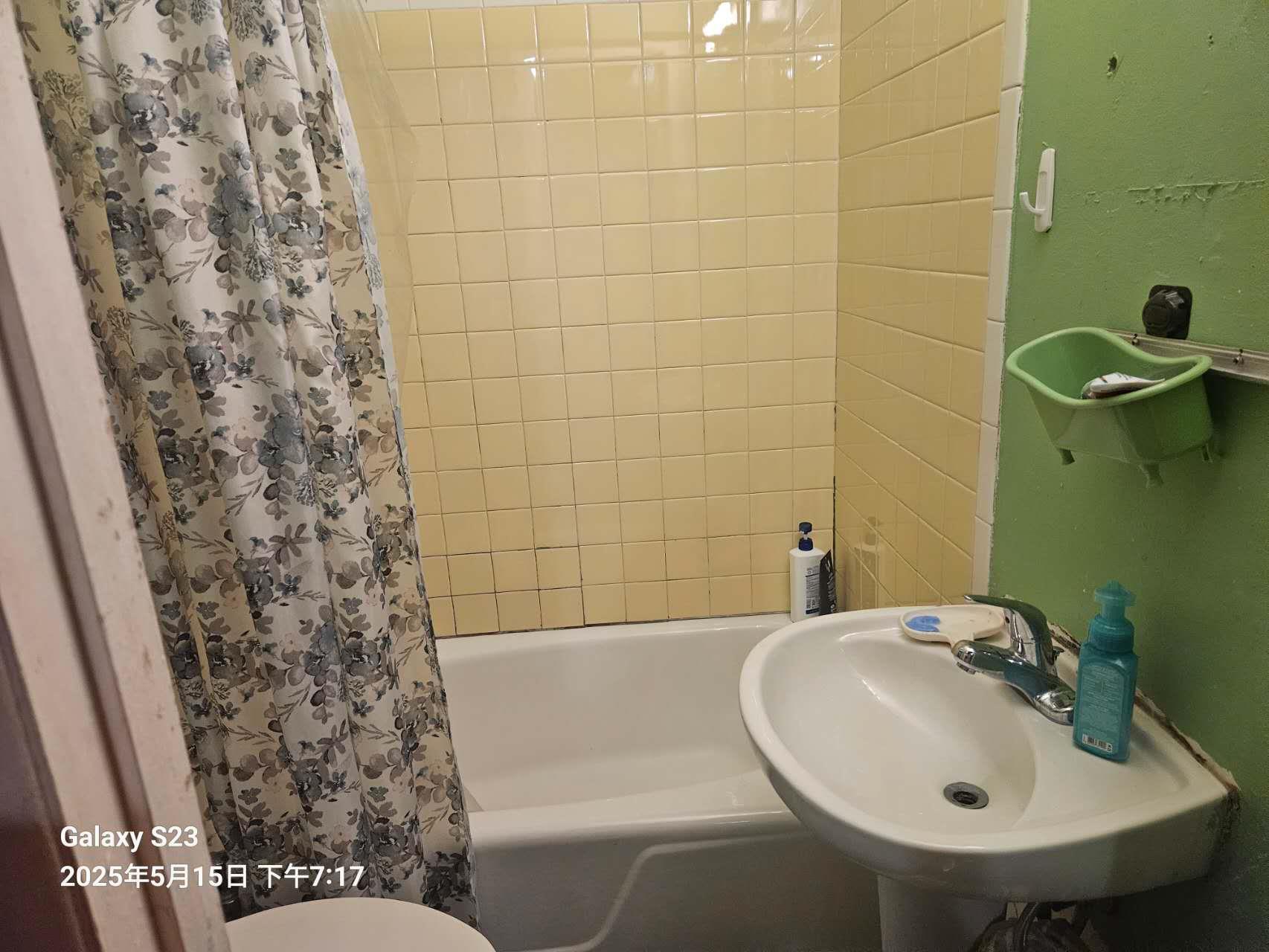 Single Family 164  Queens, NY 11365, MLS-847788-8