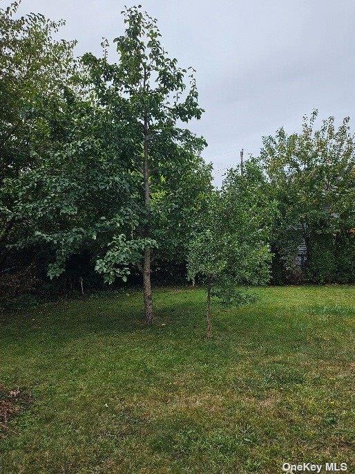 Single Family Oliver  Nassau County, NY 11590, MLS-847855-23