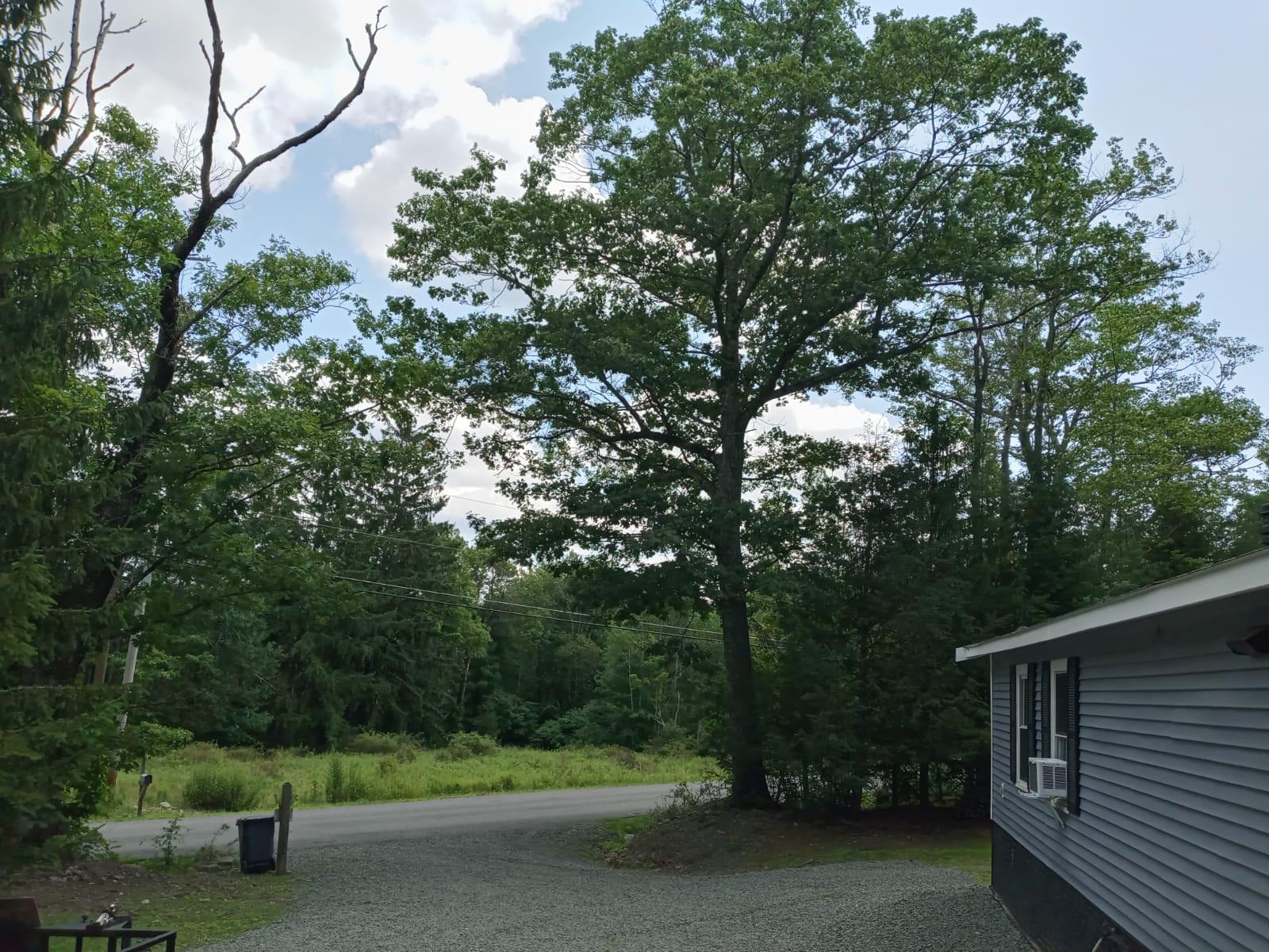 Single Family Park Hill  Sullivan County, NY 12763, MLS-848030-18