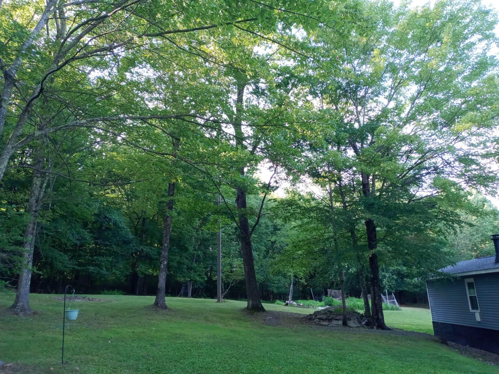 Single Family Park Hill  Sullivan County, NY 12763, MLS-848030-24