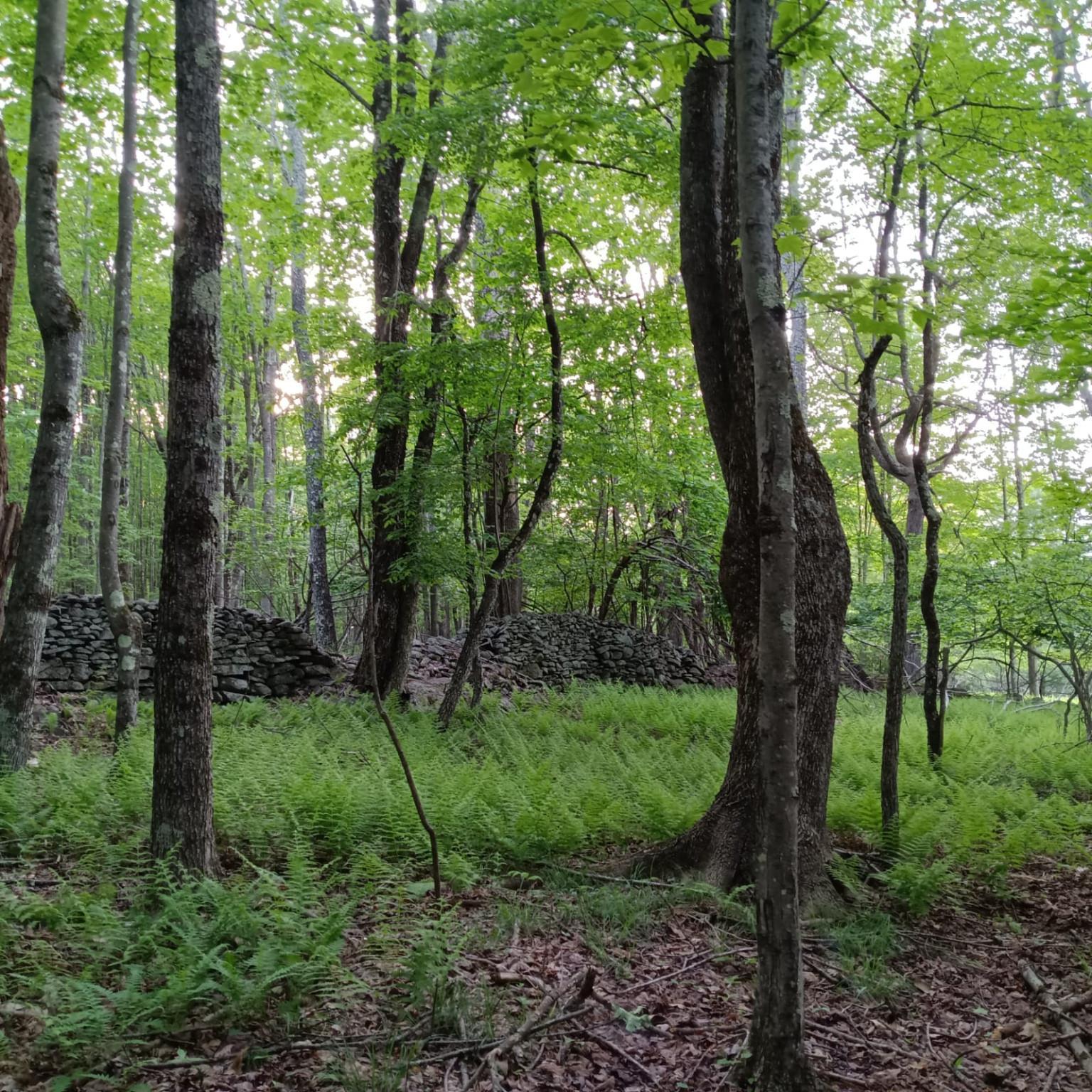 Single Family Park Hill  Sullivan County, NY 12763, MLS-848030-29