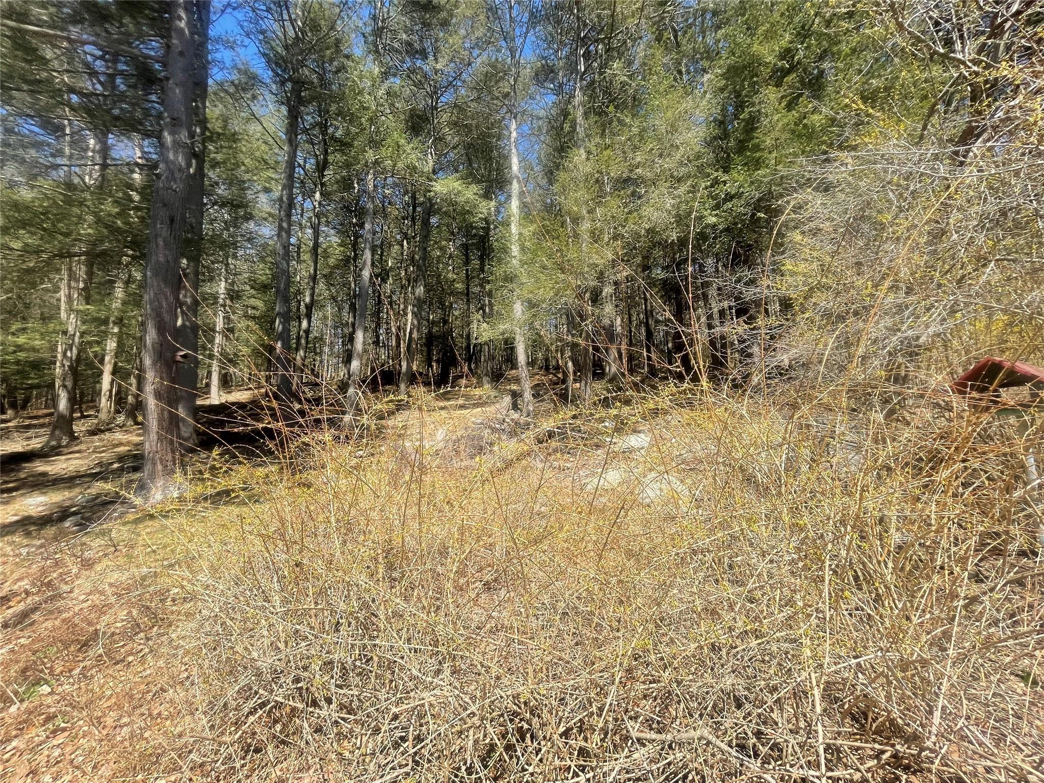 Single Family Baker  Ulster County, NY 12409, MLS-848077-10