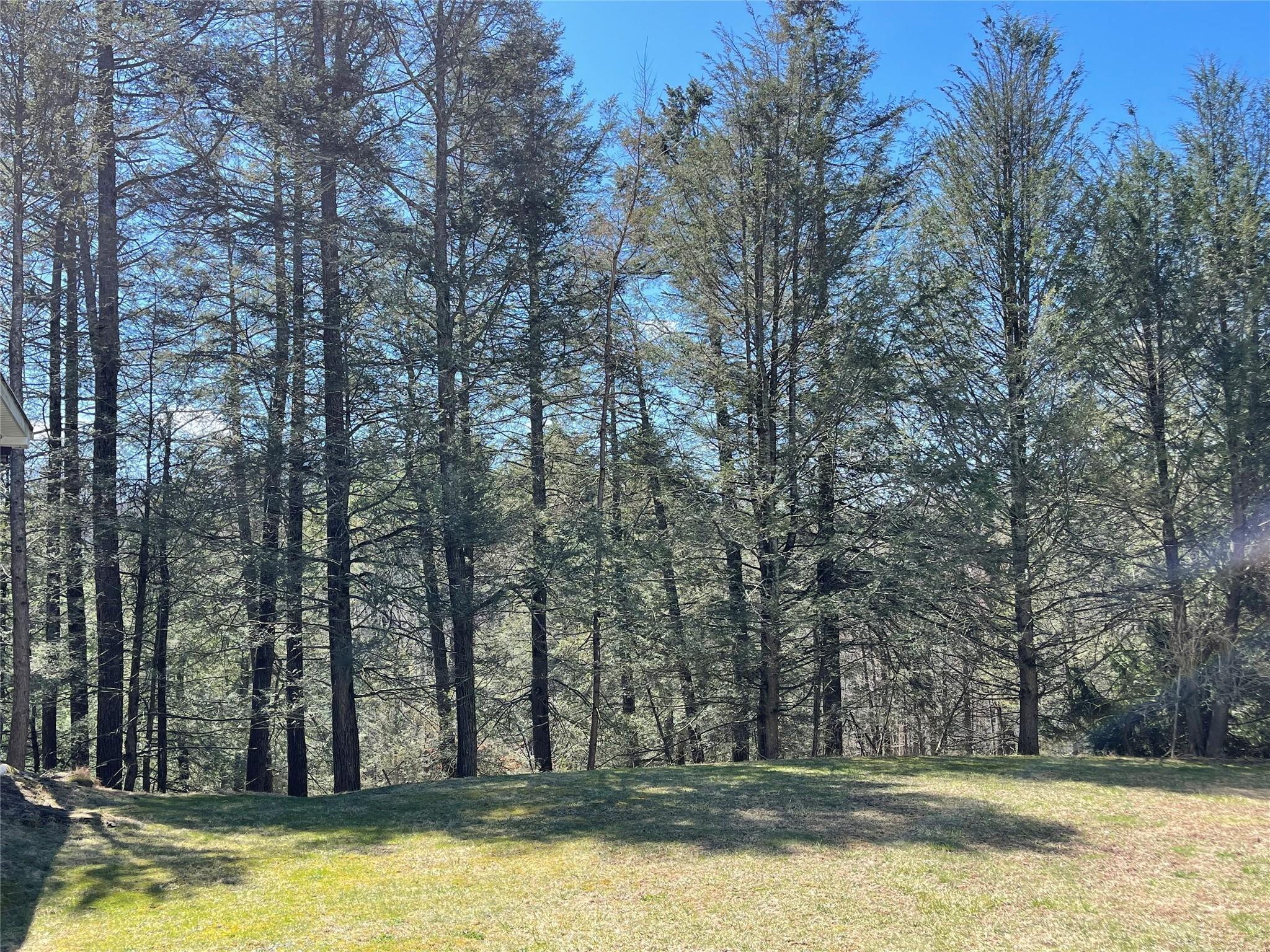 Single Family Baker  Ulster County, NY 12409, MLS-848077-8