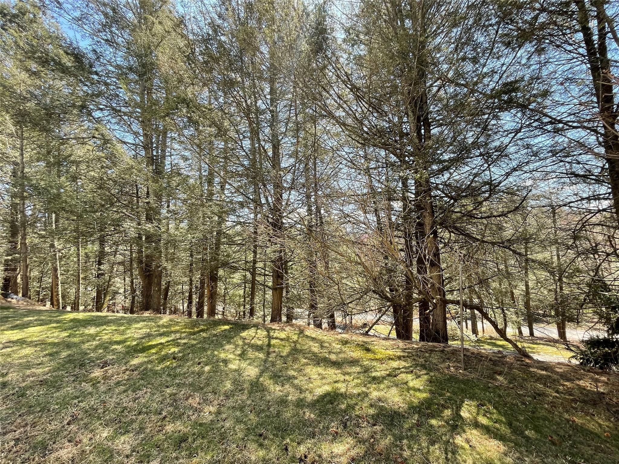 Single Family Baker  Ulster County, NY 12409, MLS-848077-9