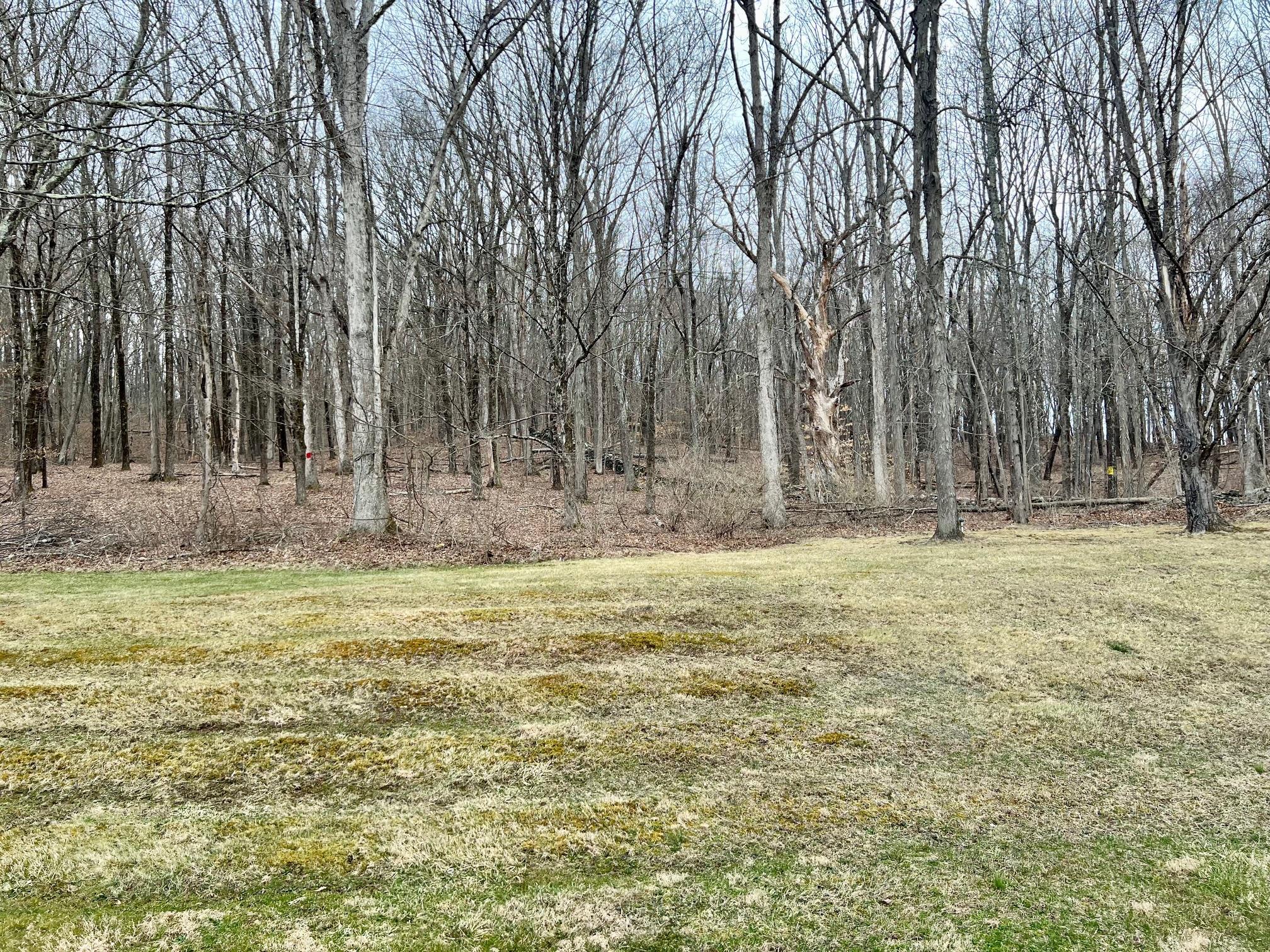 Single Family Browning  Dutchess County, NY 12578, MLS-848123-10