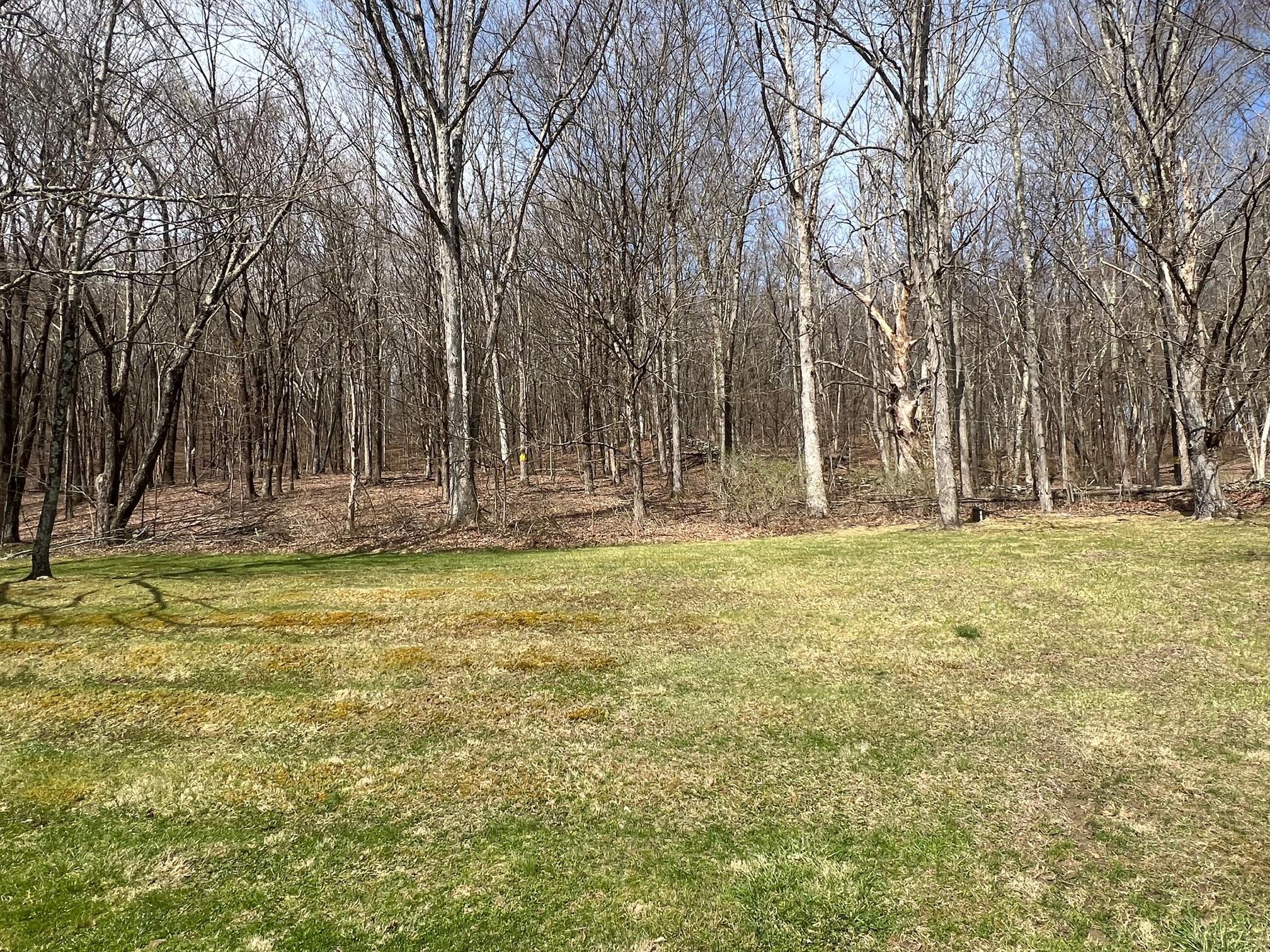 Single Family Browning  Dutchess County, NY 12578, MLS-848123-6