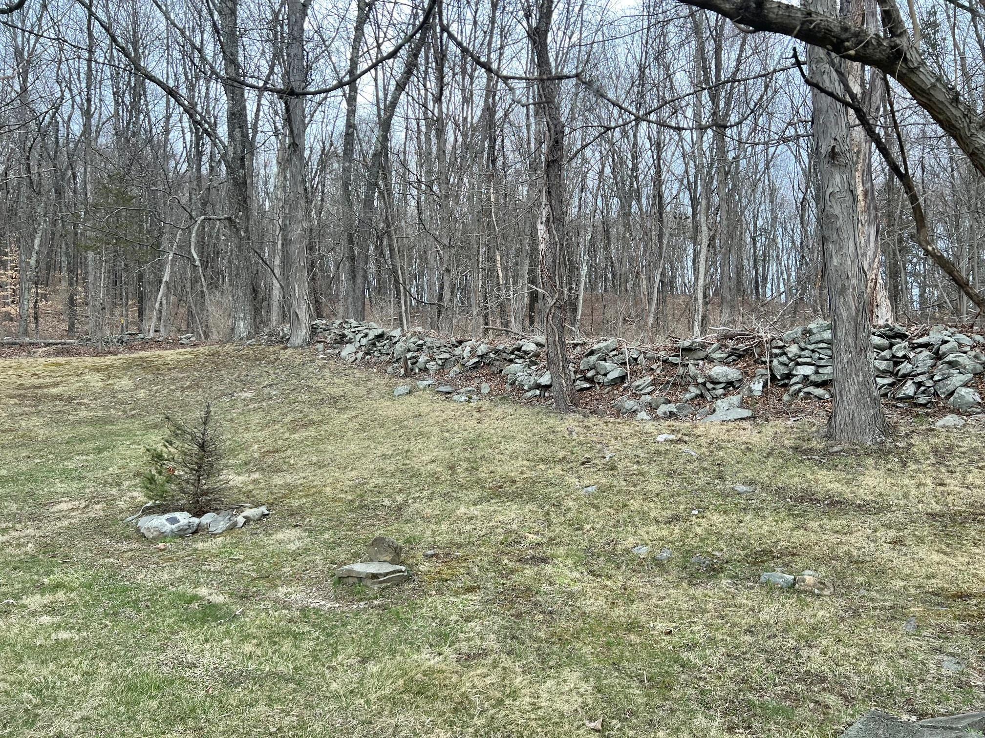 Single Family Browning  Dutchess County, NY 12578, MLS-848123-8