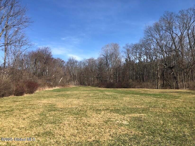 Single Family Ny-22  Out Of Area, NY 12090, MLS-848144-19