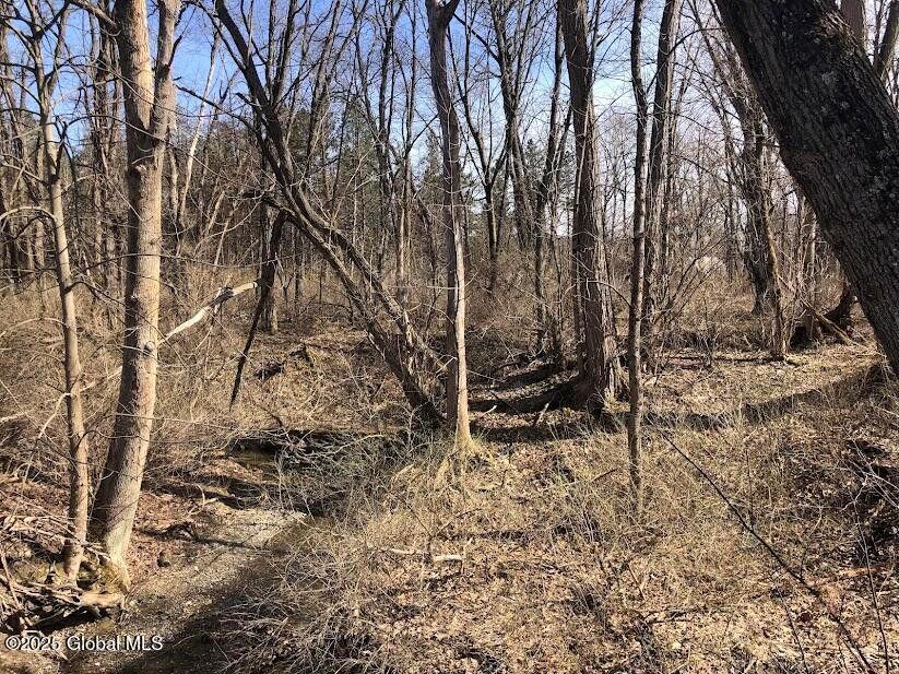 Single Family Ny-22  Out Of Area, NY 12090, MLS-848144-30