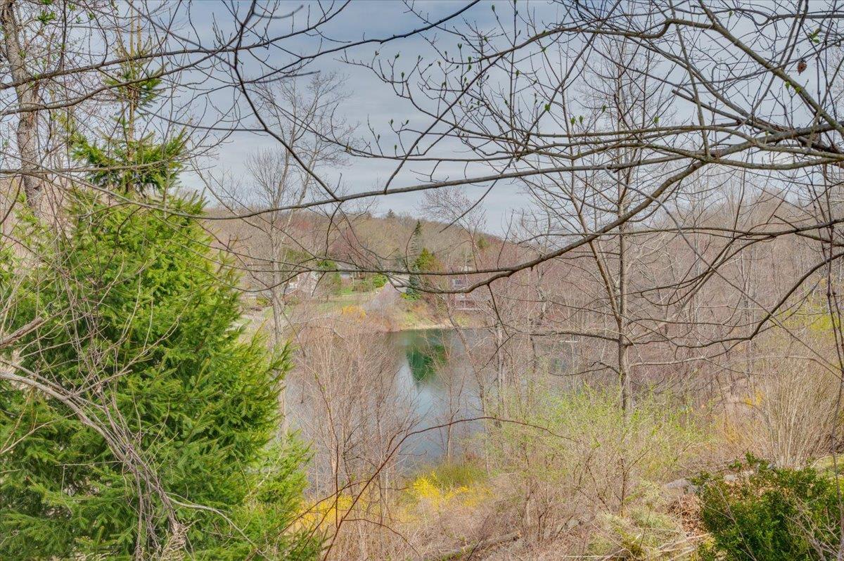 Single Family Saw Mill River  Westchester County, NY 10546, MLS-848363-4