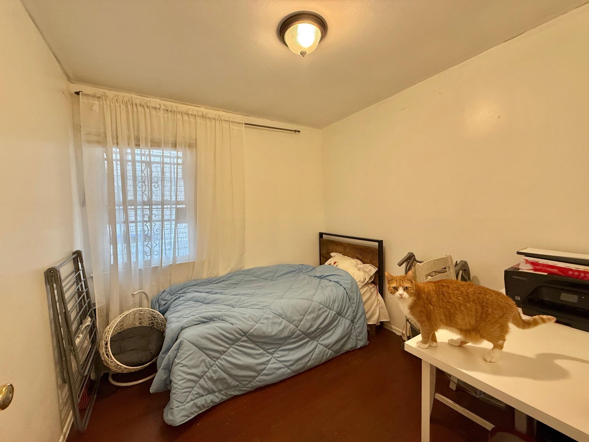 Single Family Foch  Queens, NY 11434, MLS-848366-19