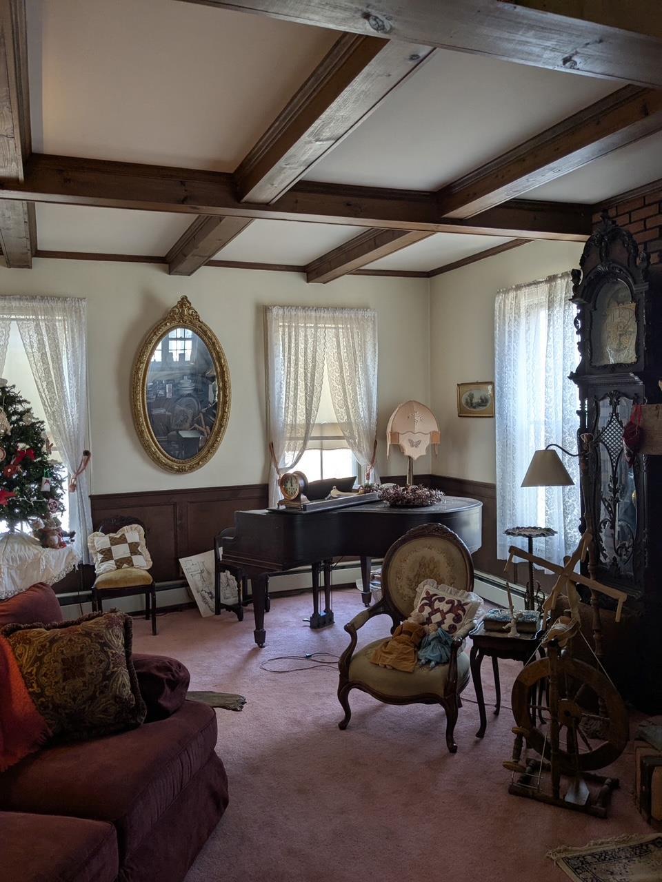 Single Family Carl  Greene County, NY 12444, MLS-848392-21