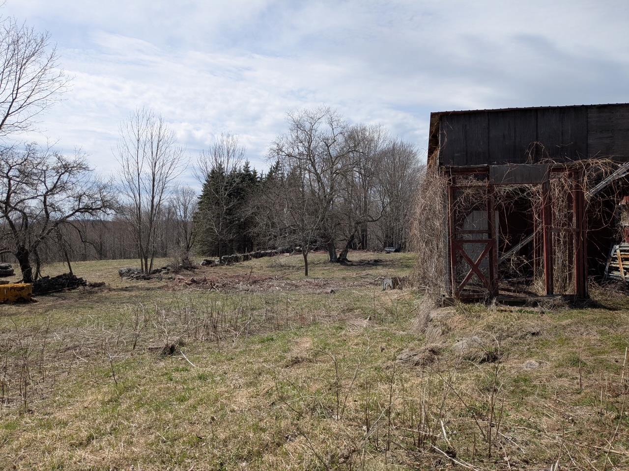 Single Family Carl  Greene County, NY 12444, MLS-848392-22