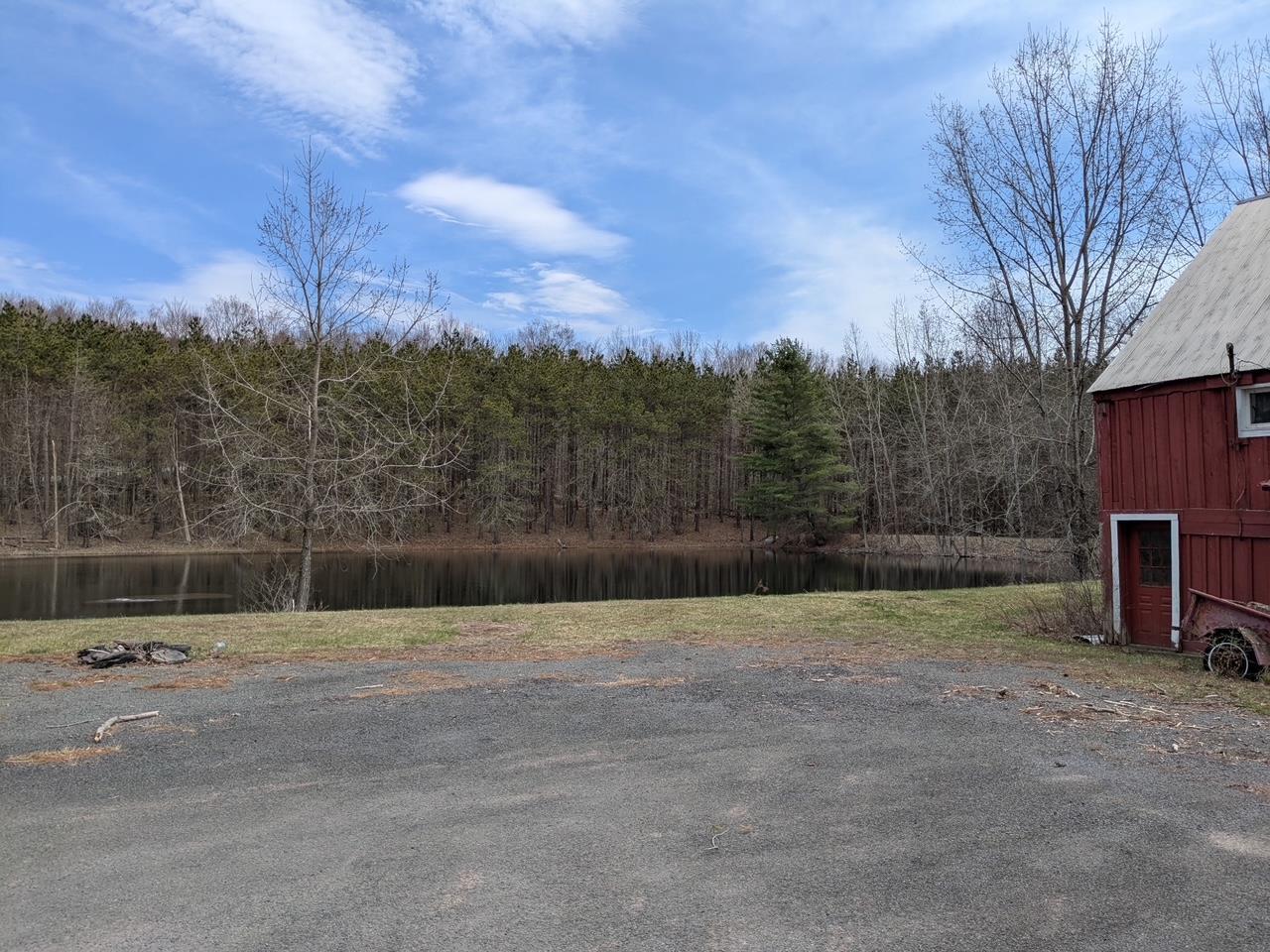 Single Family Carl  Greene County, NY 12444, MLS-848392-38