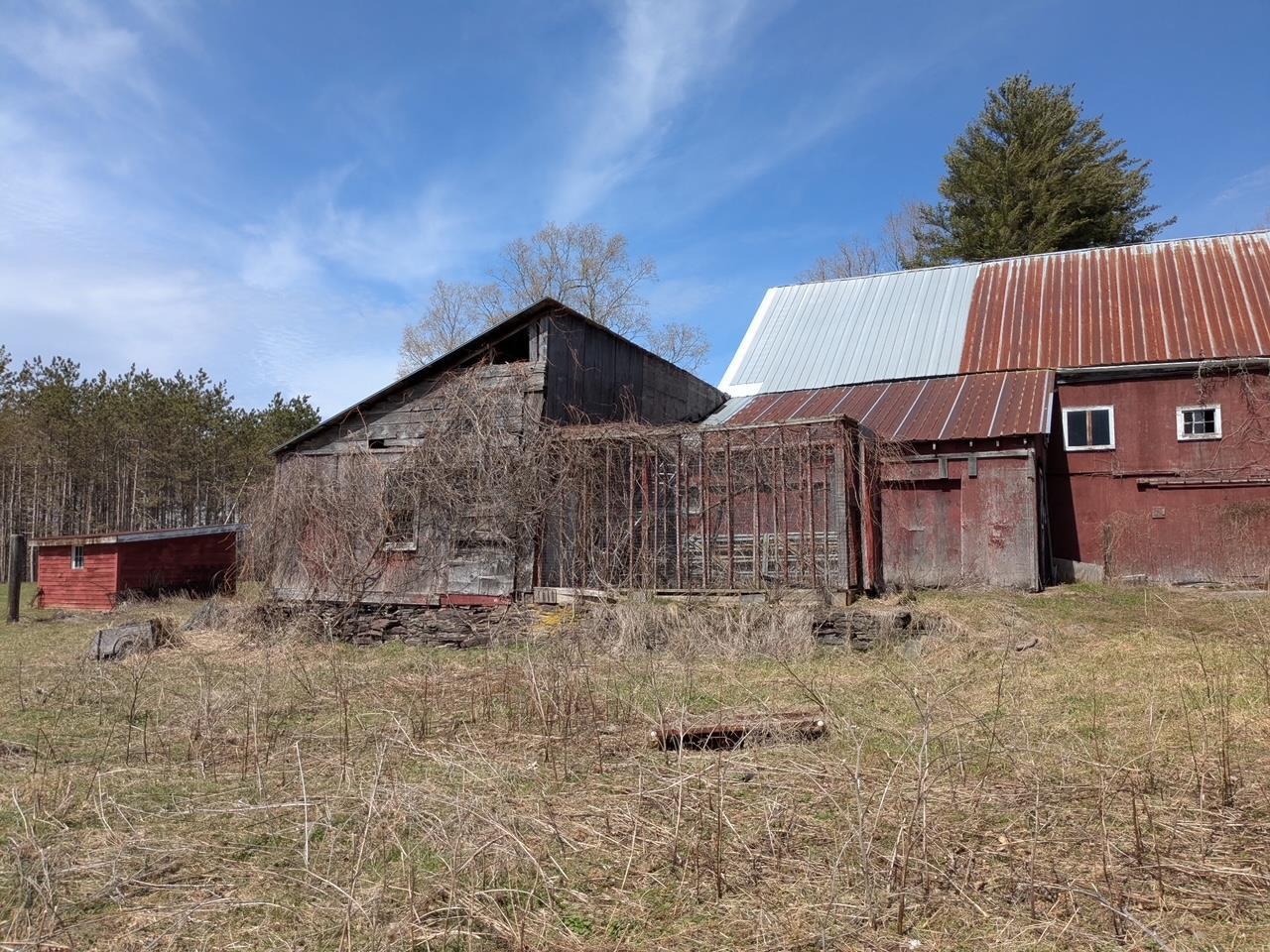 Single Family Carl  Greene County, NY 12444, MLS-848392-40