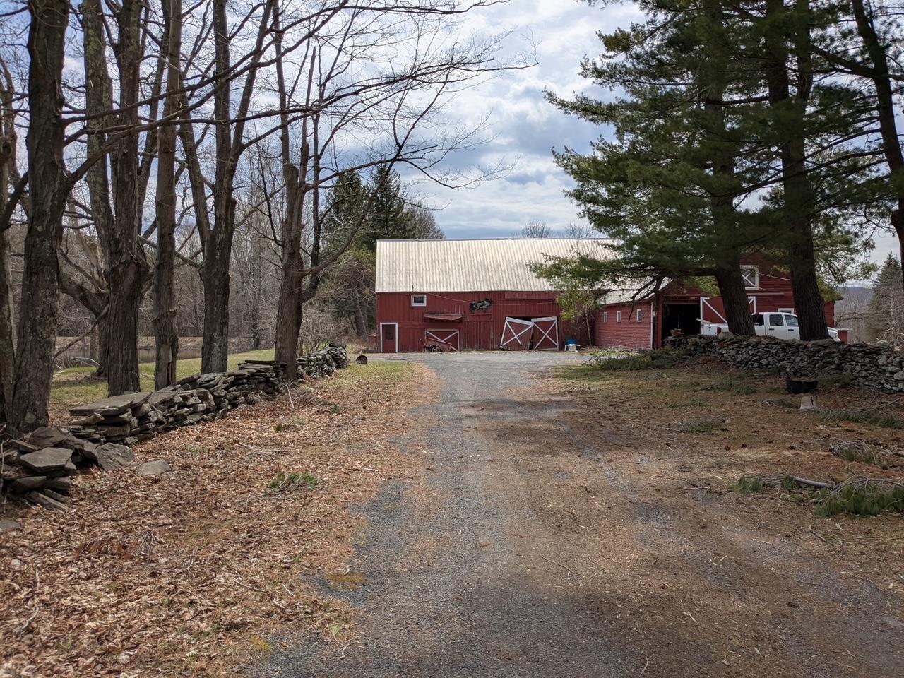 Single Family Carl  Greene County, NY 12444, MLS-848392-45