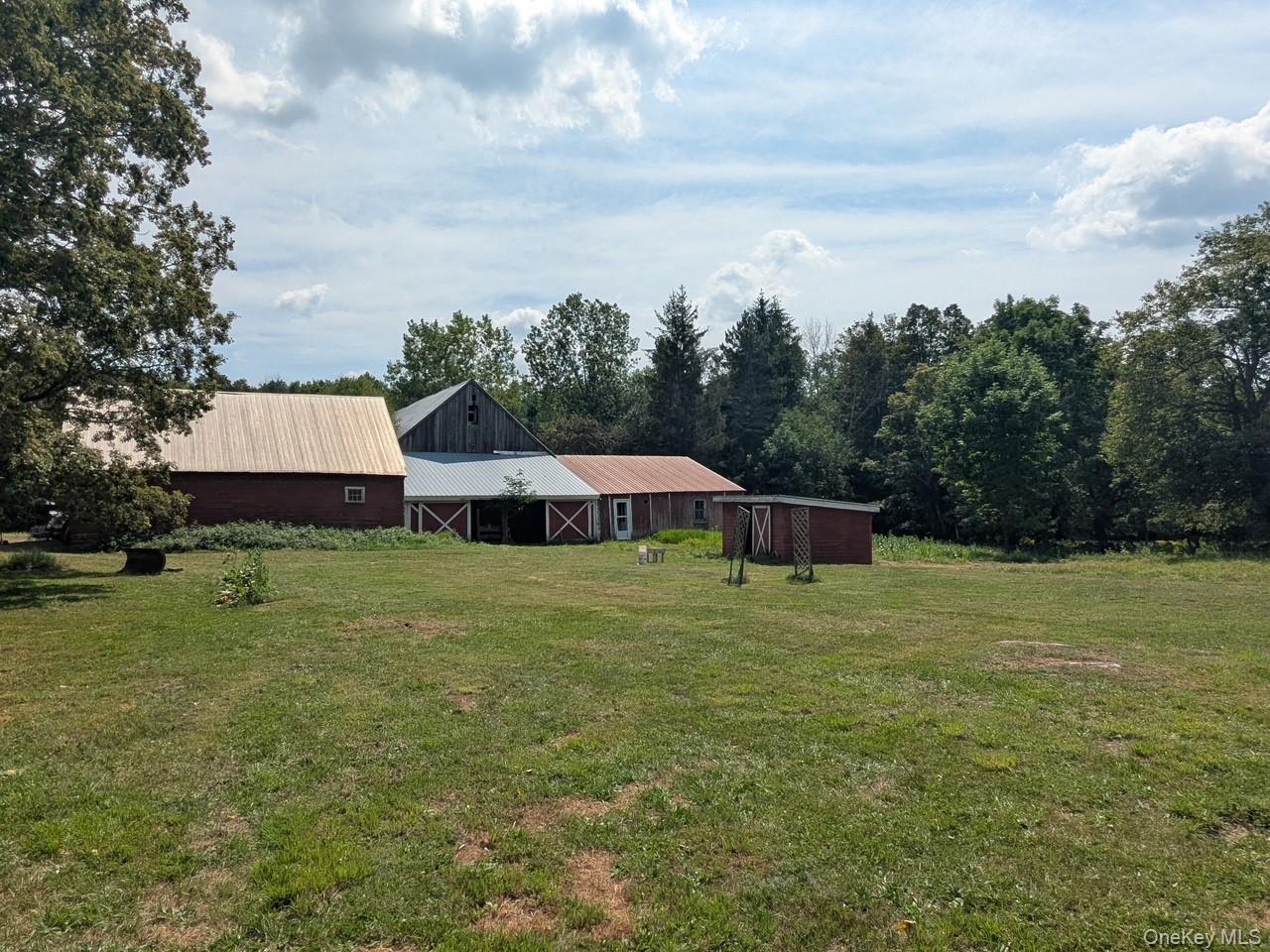 Single Family Carl  Greene County, NY 12444, MLS-848392-49