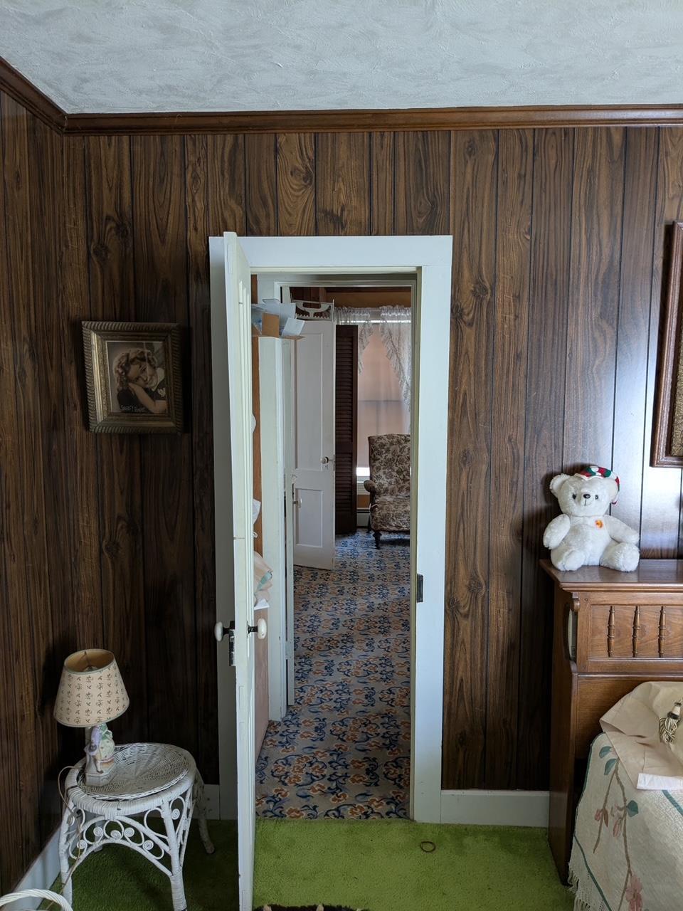 Single Family Carl  Greene County, NY 12444, MLS-848392-9