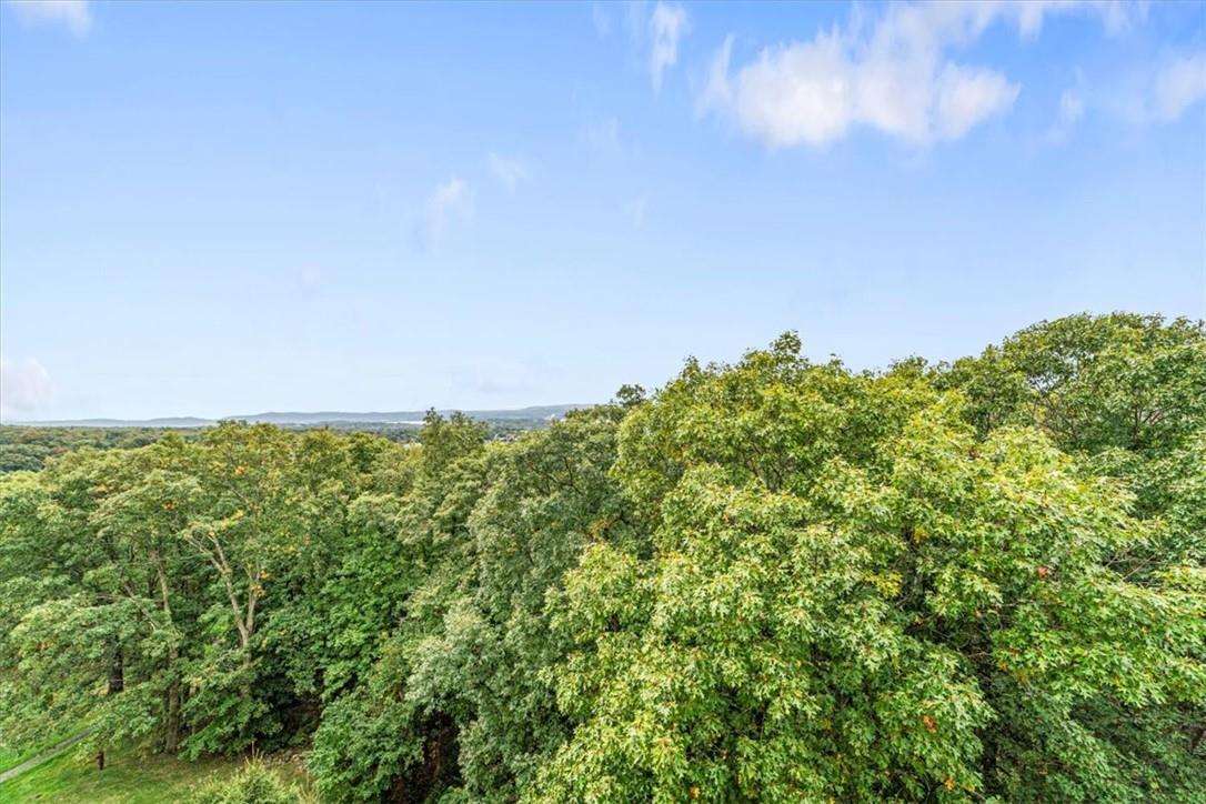 Coop Overlook  Westchester County, NY 10566, MLS-848713-17