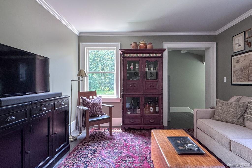 Single Family Cushetunk Sullivan County, NY 12726, MLS-848720-11