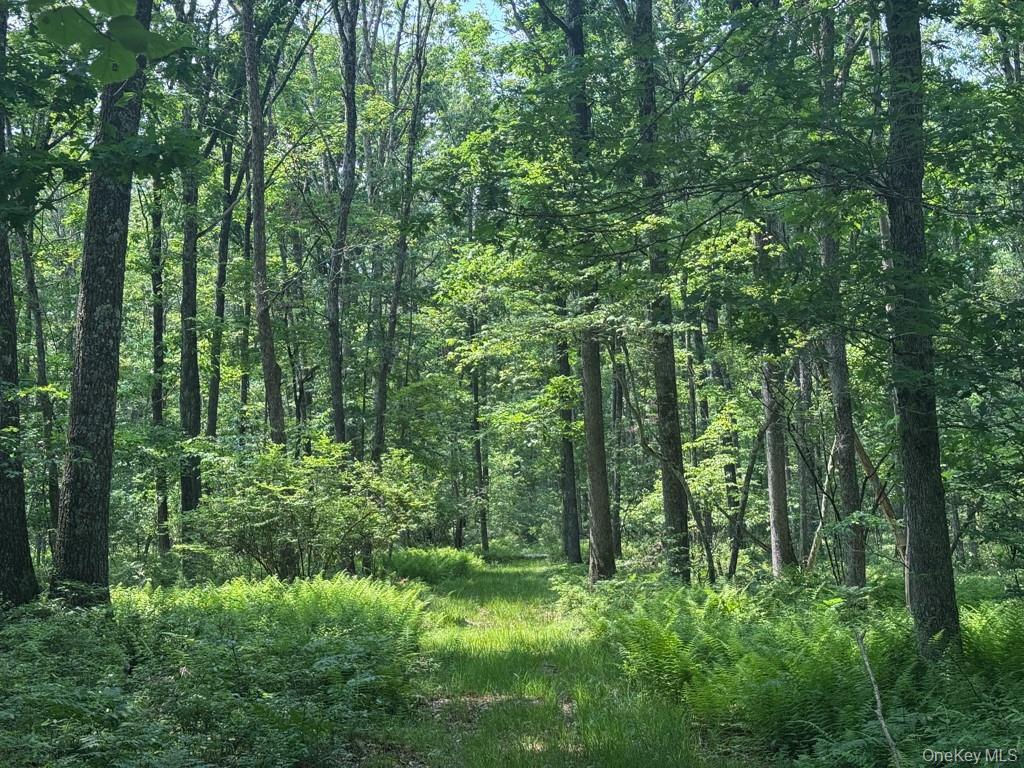 Single Family Cushetunk Sullivan County, NY 12726, MLS-848720-32