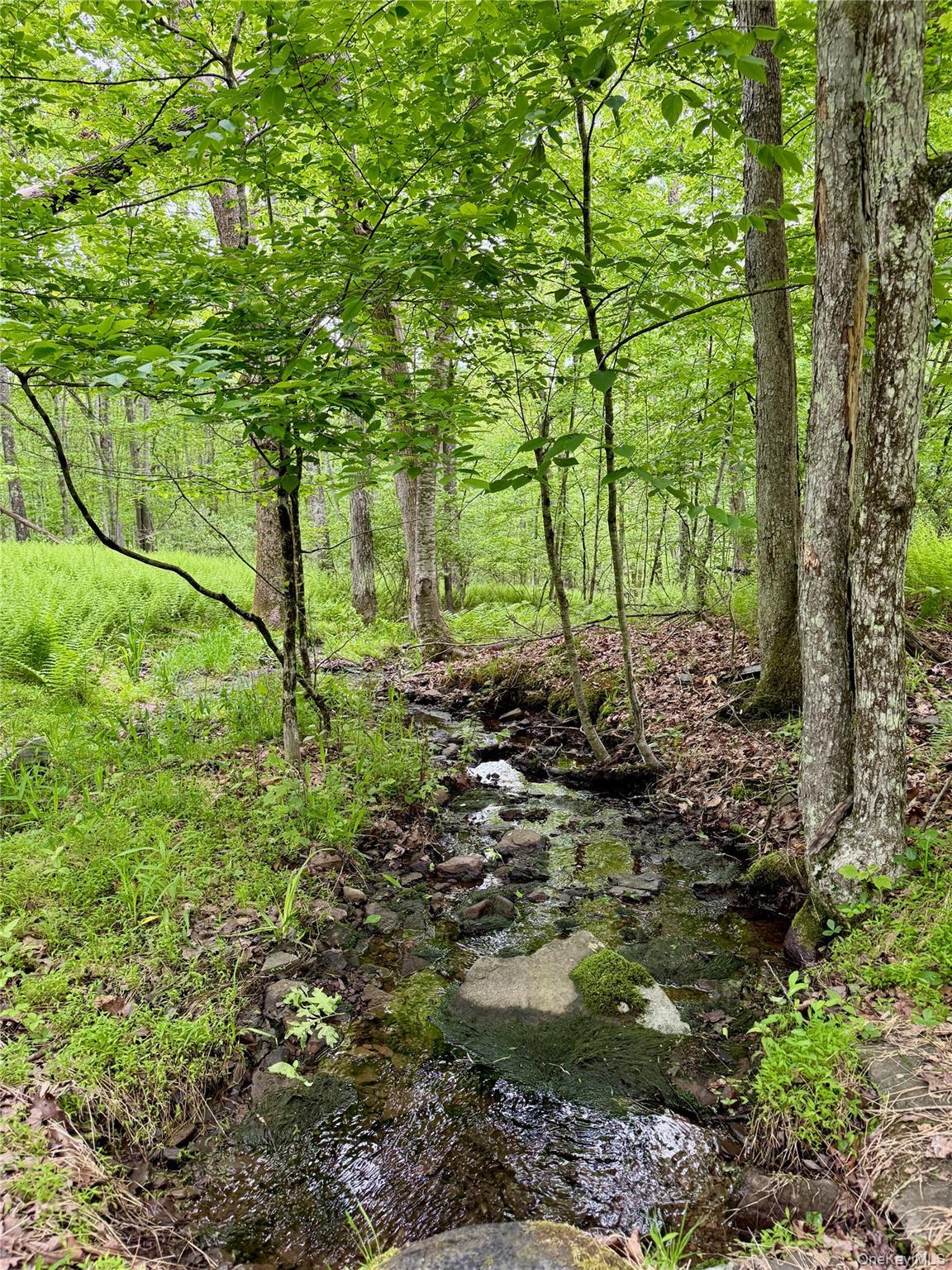 Single Family Cushetunk Sullivan County, NY 12726, MLS-848720-37