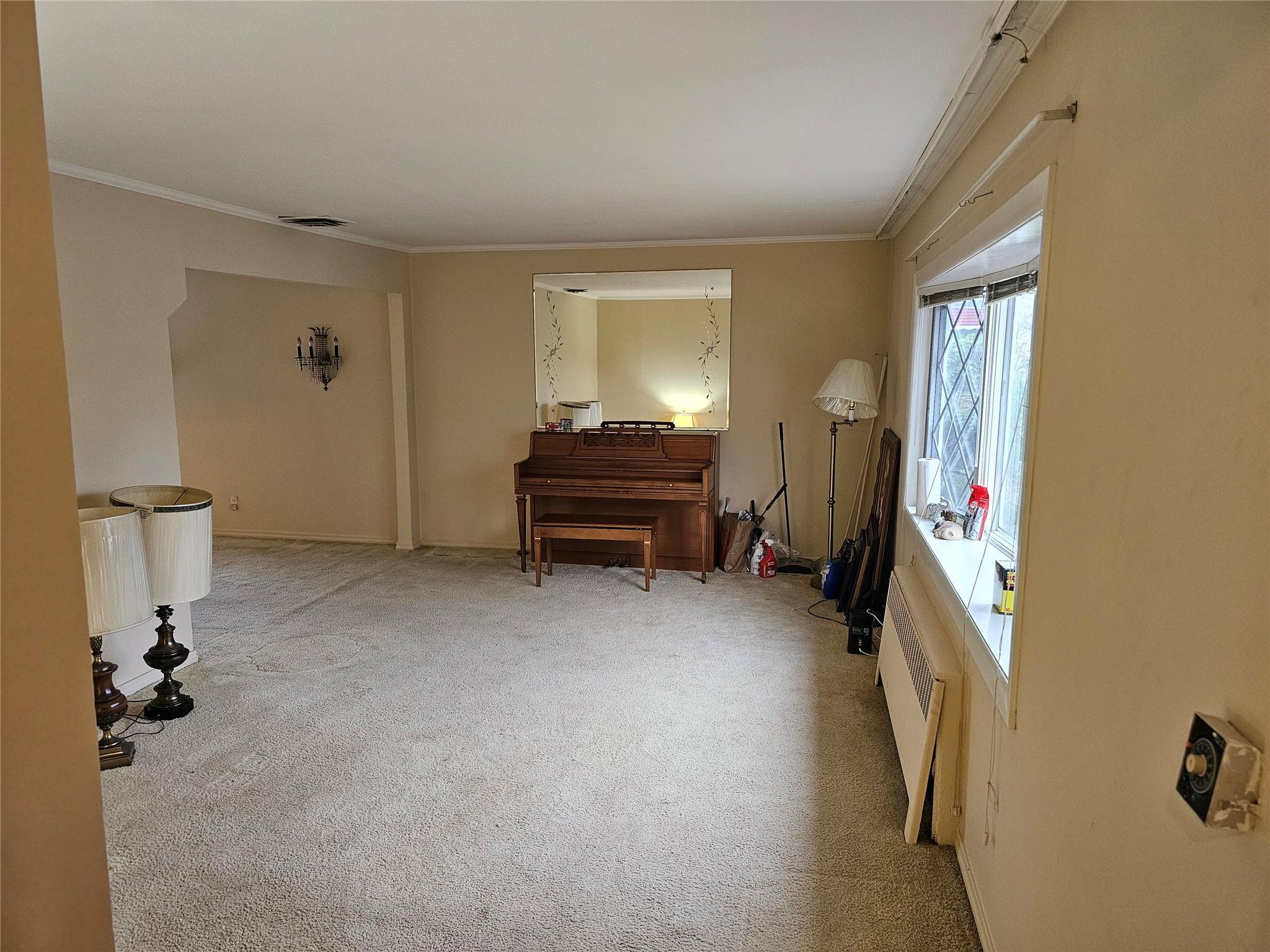 Single Family Leighton  Nassau County, NY 11003, MLS-848921-2