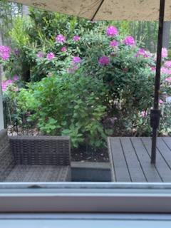 Single Family Sunflower Ridge  Suffolk County, NY 11720, MLS-848950-31